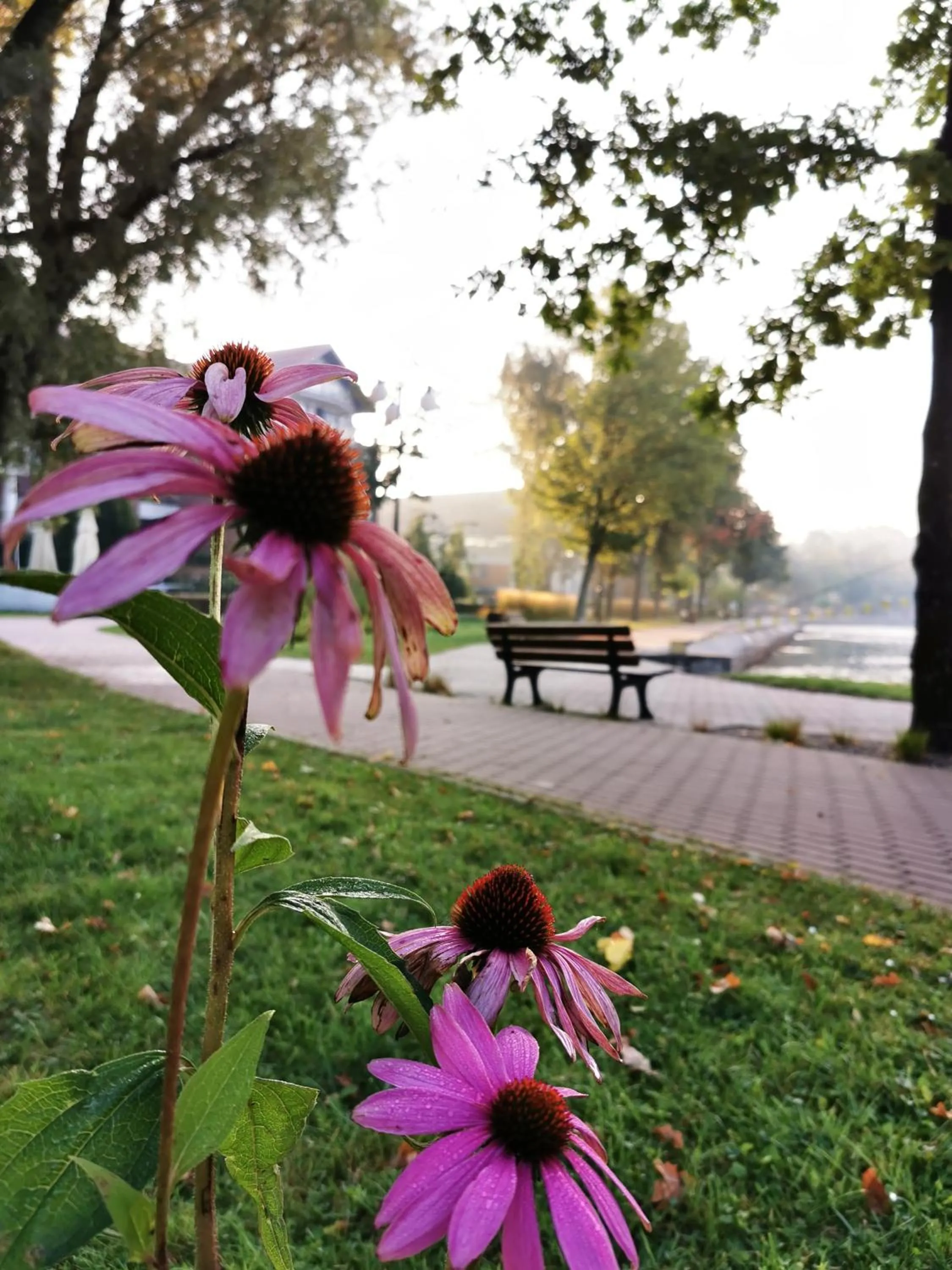 Quiet street view in Platinum Ostróda
