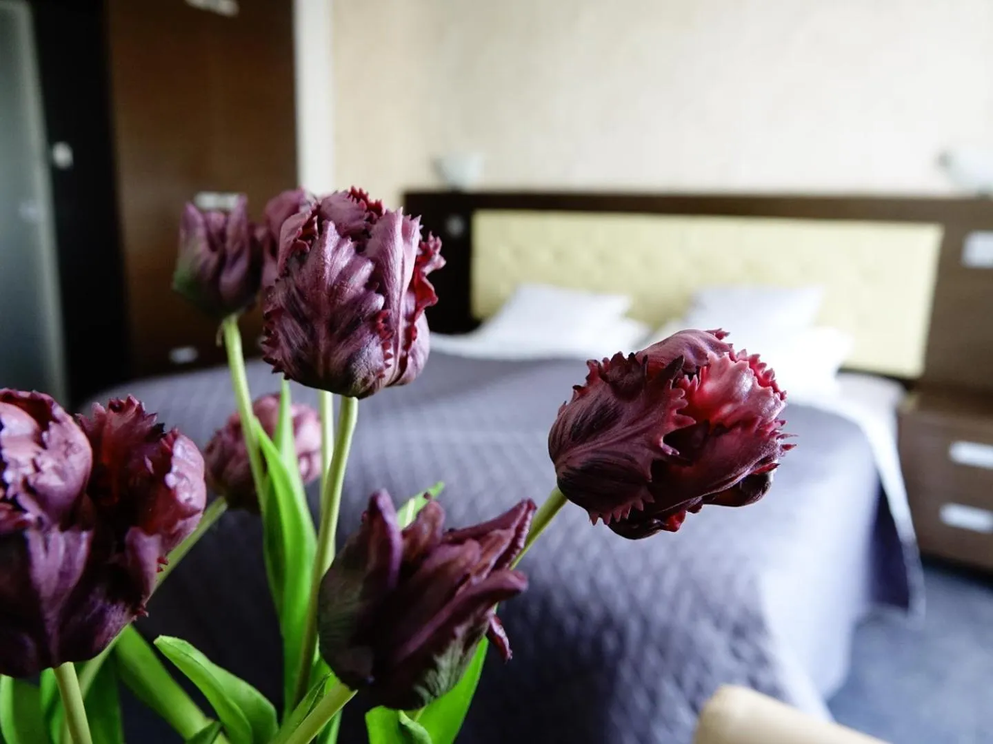 Bed in Platinum Ostróda