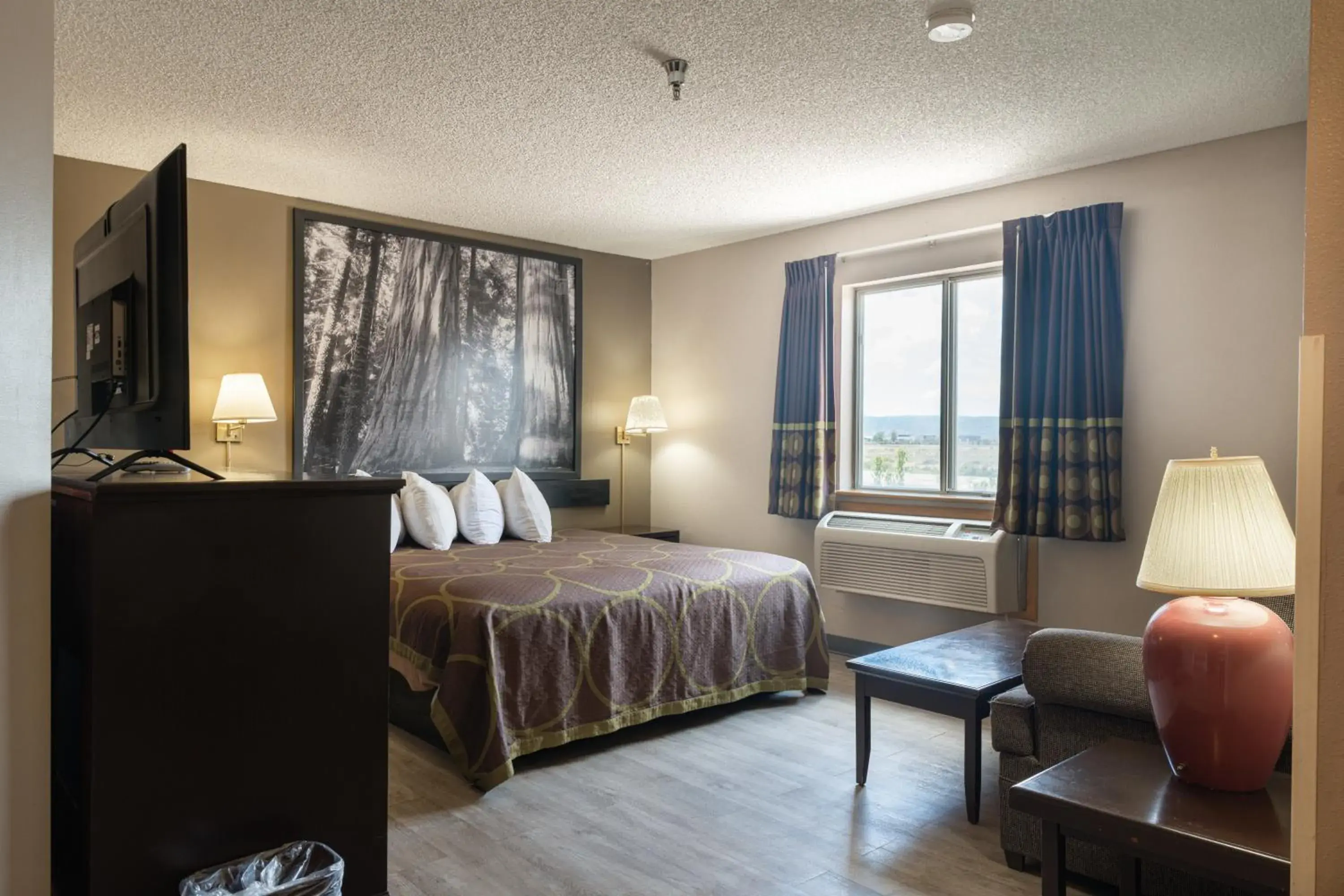 Bed in Super 8 by Wyndham Grants Bed in Super 8 by Wyndham Grants