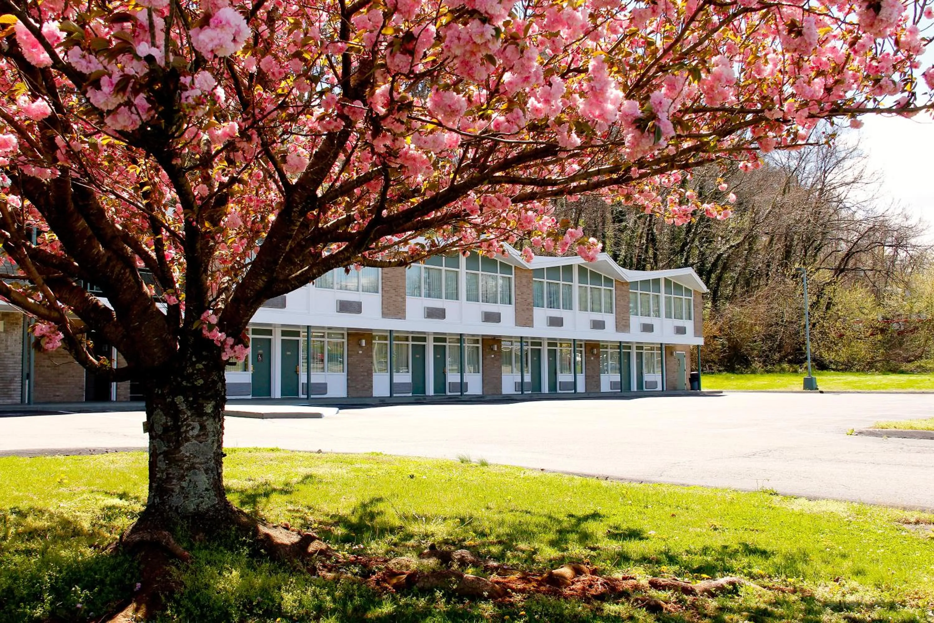 Street view in Colony House Motor Lodge