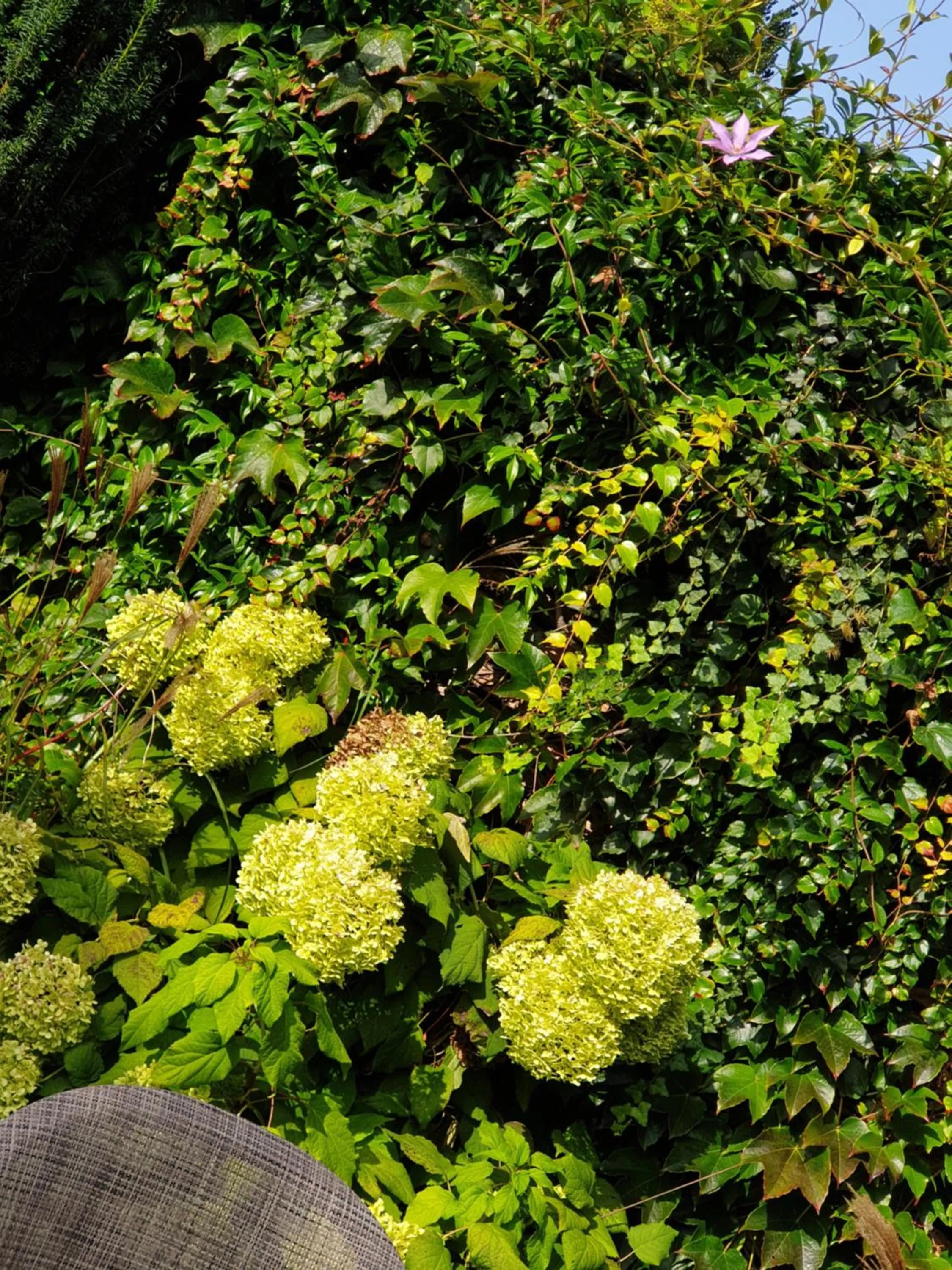 Garden in Villa Augeval Hôtel de charme & Spa