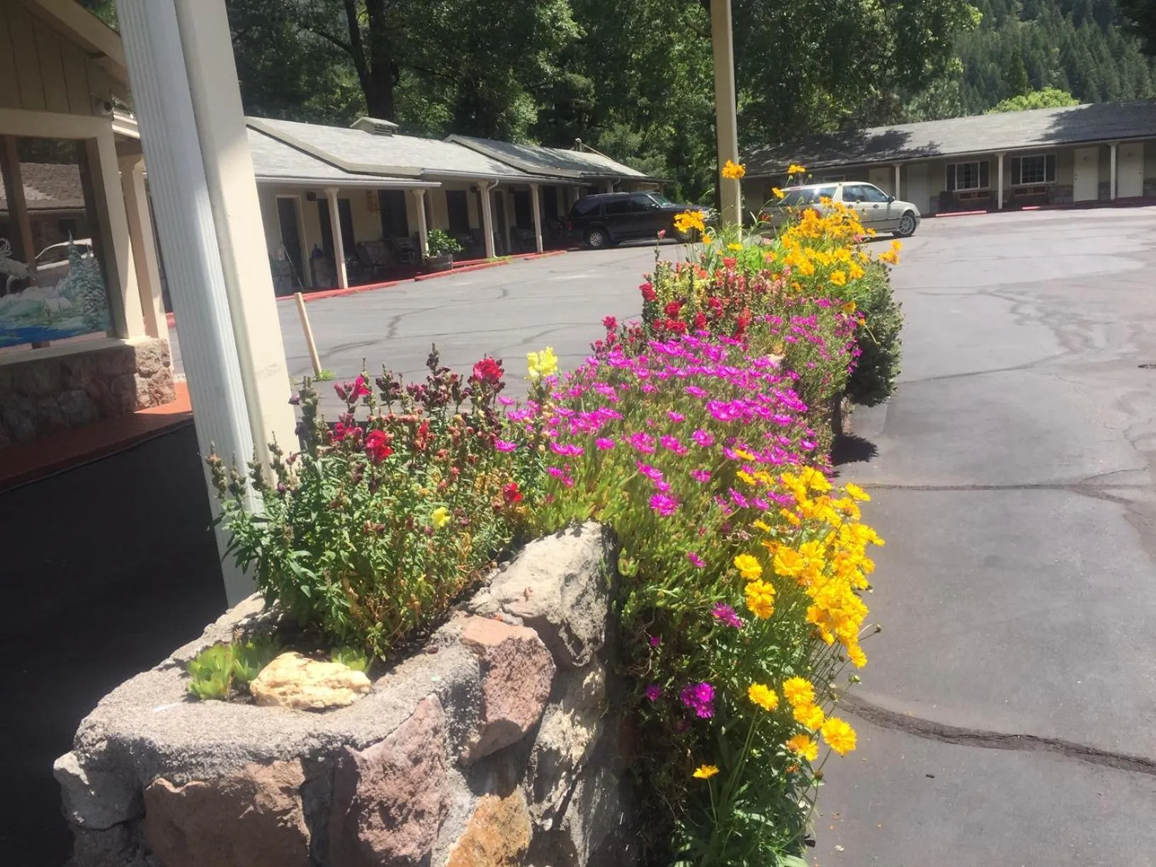 Property building in Dunsmuir Lodge