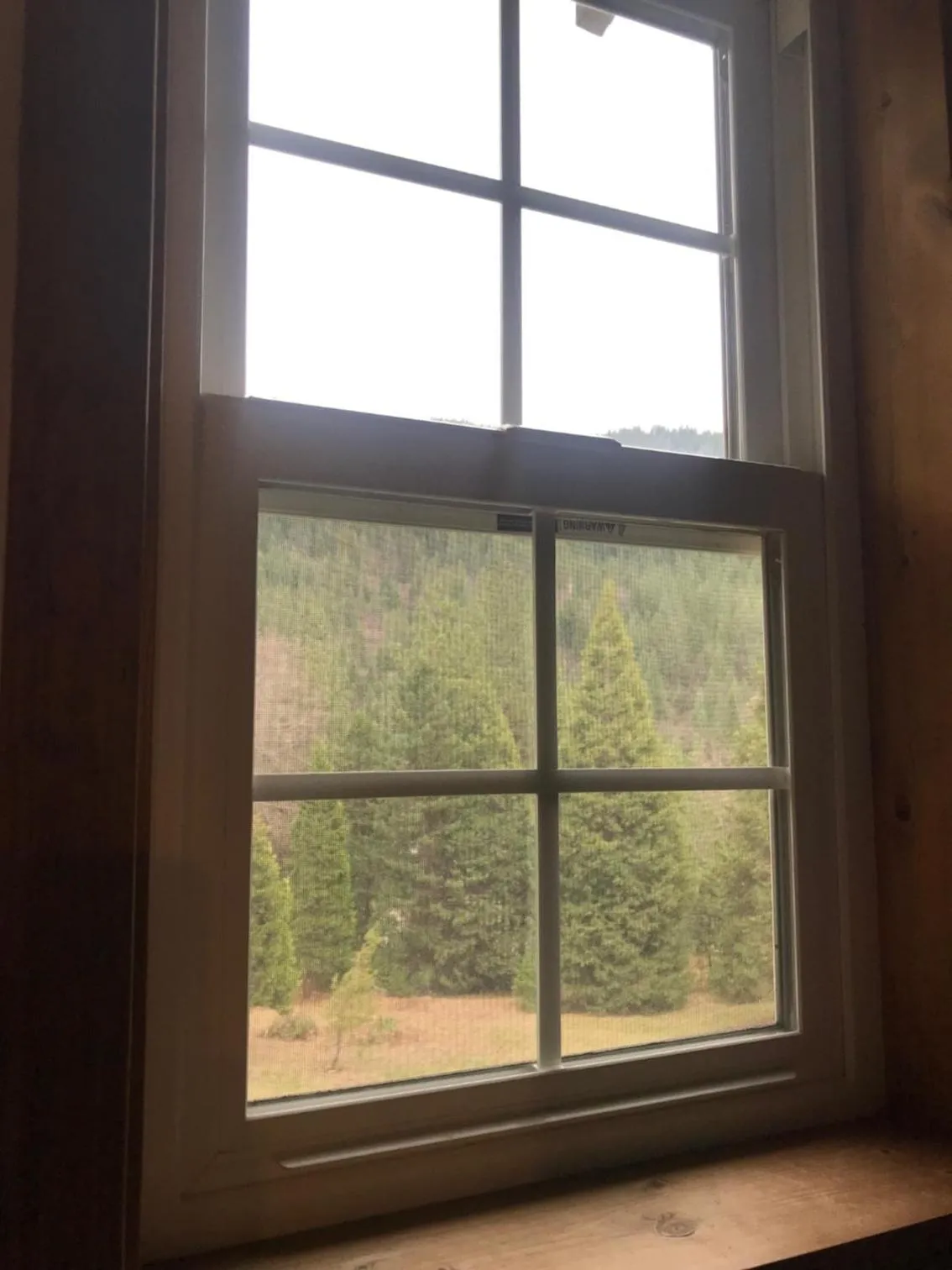 Day in Dunsmuir Lodge