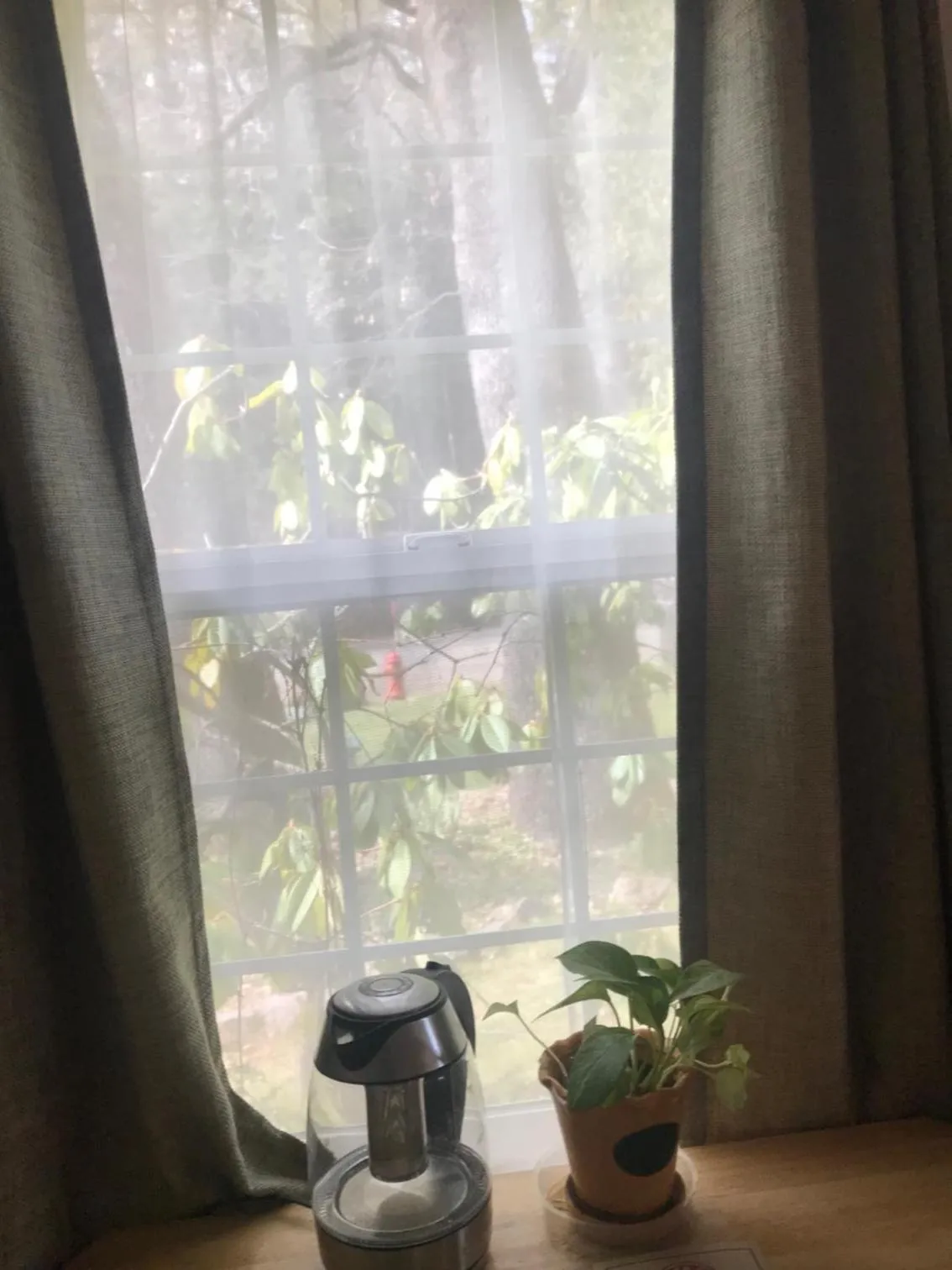 Street view in Dunsmuir Lodge