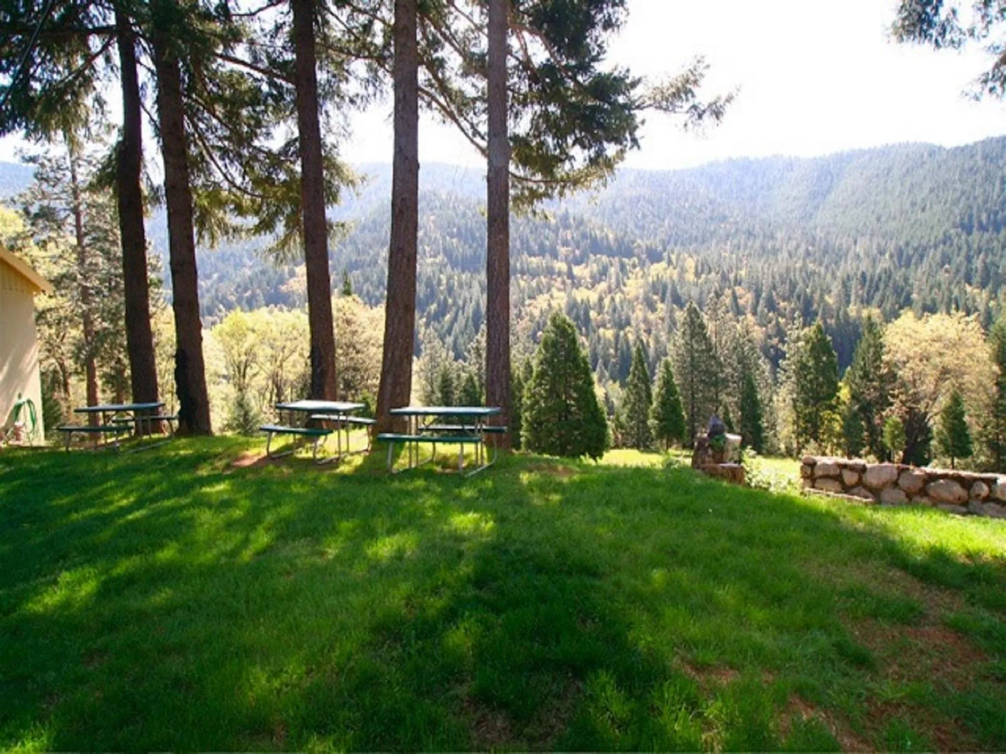 Natural landscape in Dunsmuir Lodge