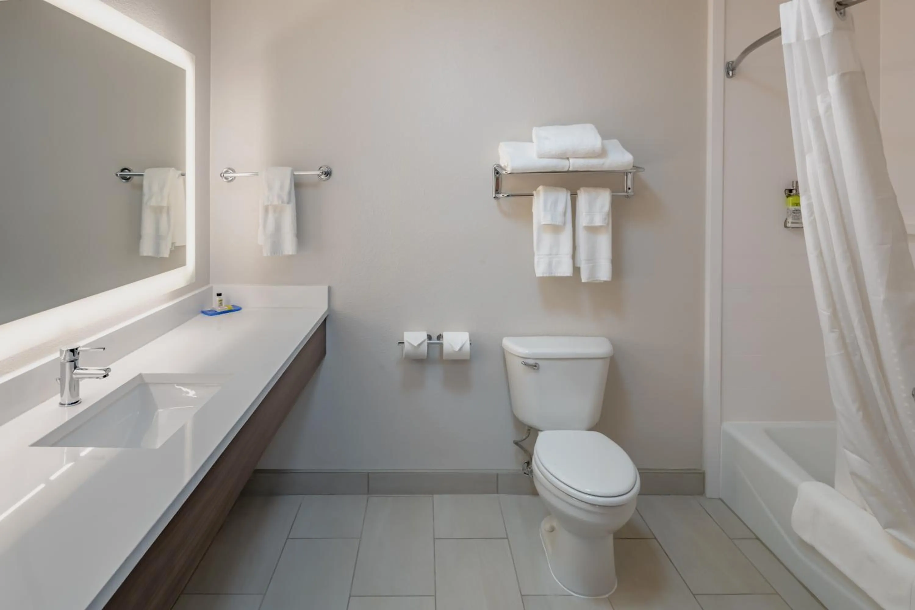Bathroom in Holiday Inn Express & Suites N Waco Area - West by IHG