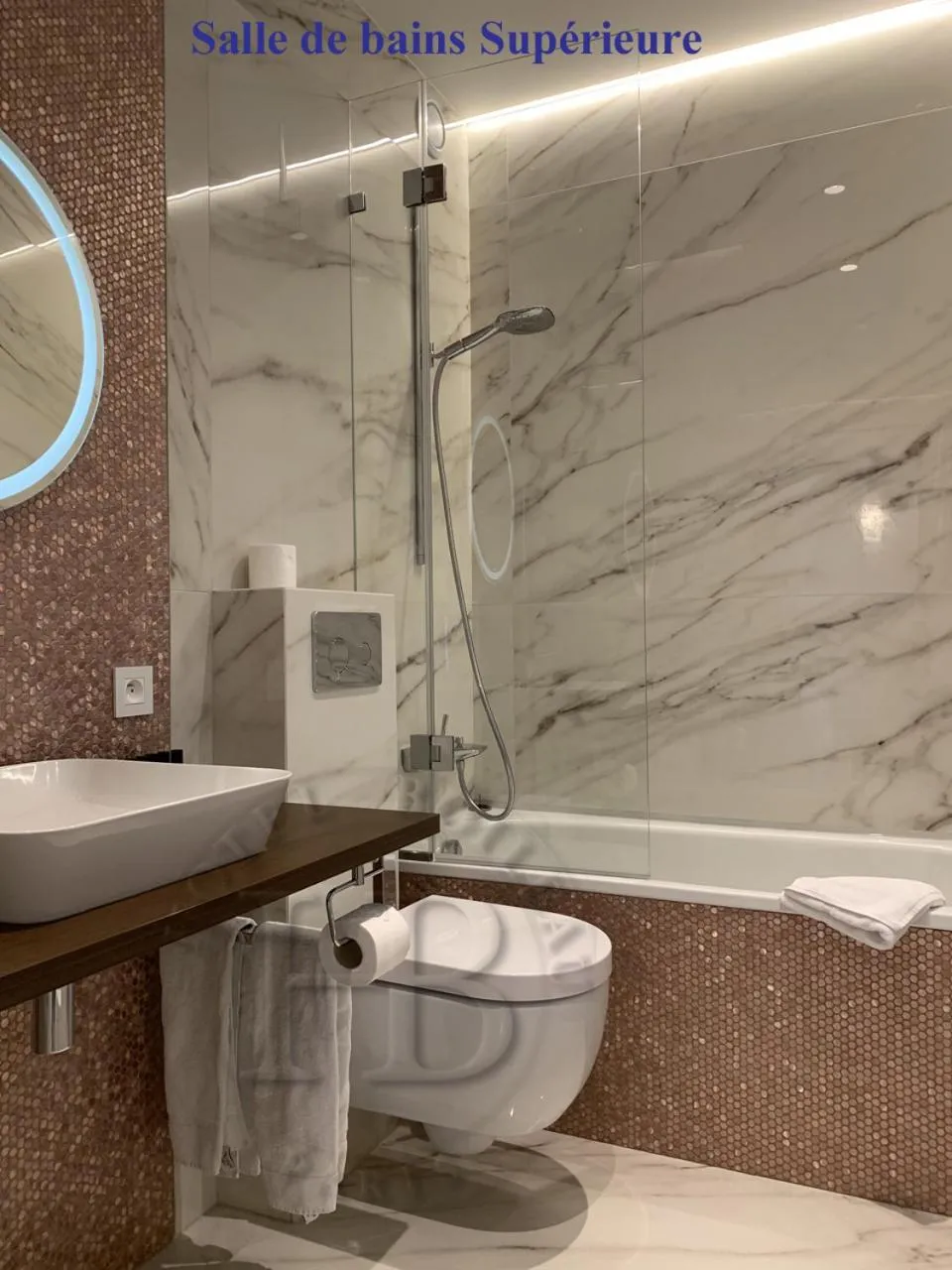 Bathroom in Hotel Boileau