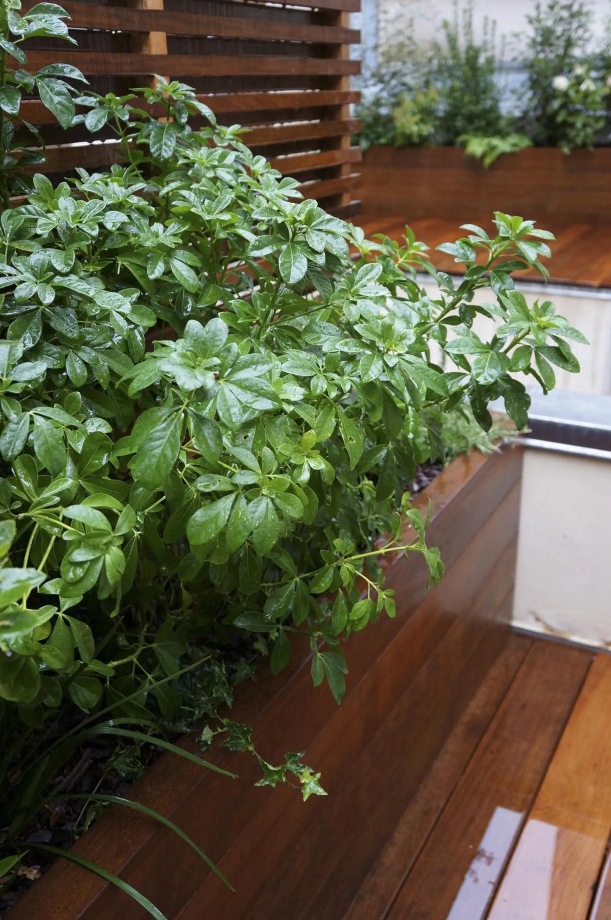 Decorative detail in Hotel Boileau