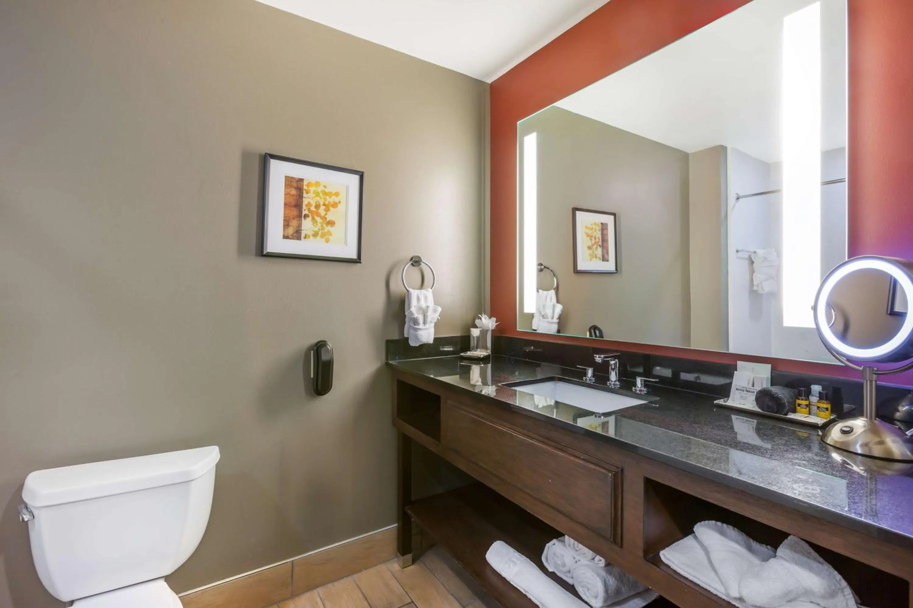 Bathroom in Best Western Premier Ivy Inn & Suites