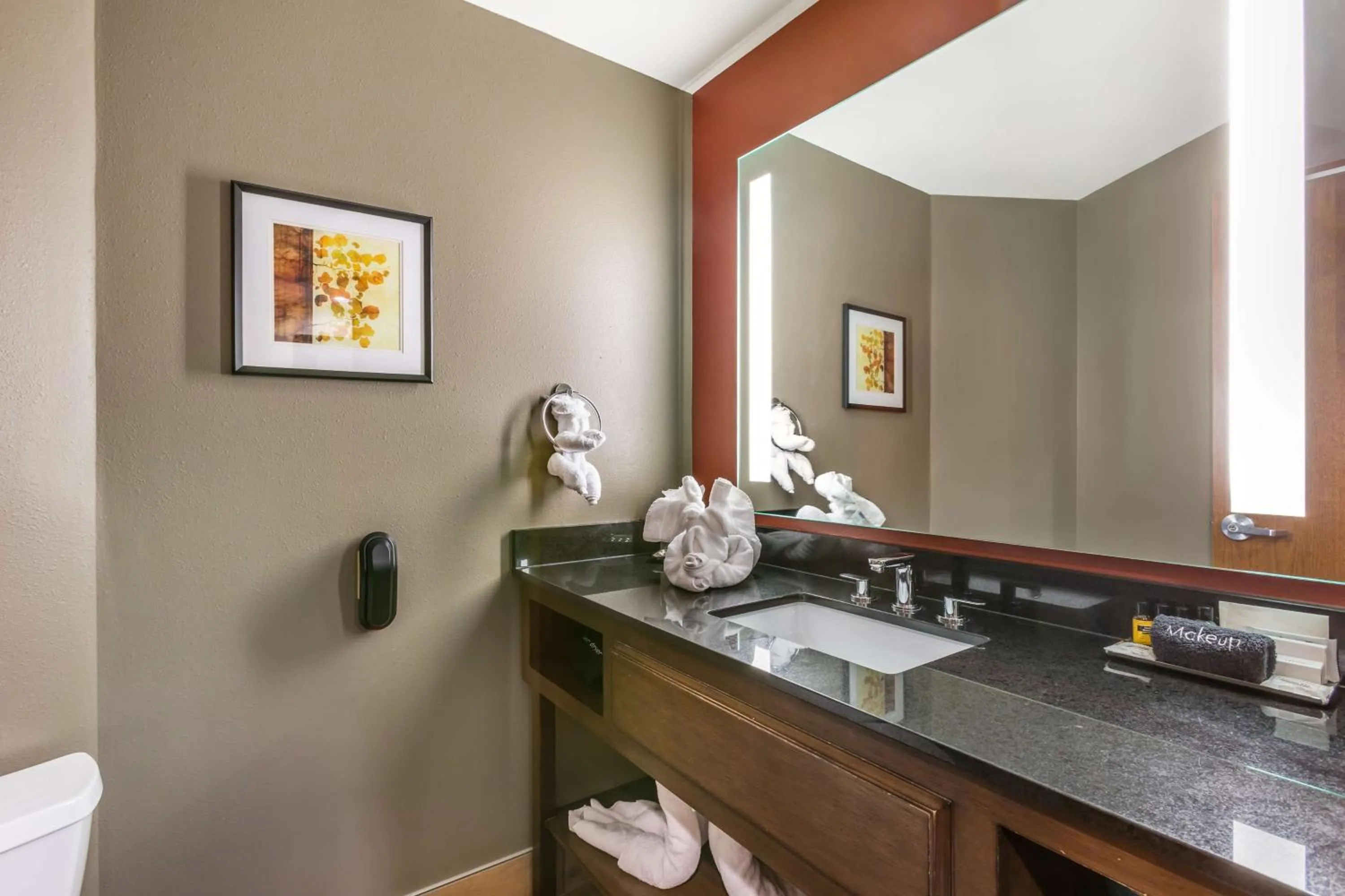 Bathroom in Best Western Premier Ivy Inn & Suites