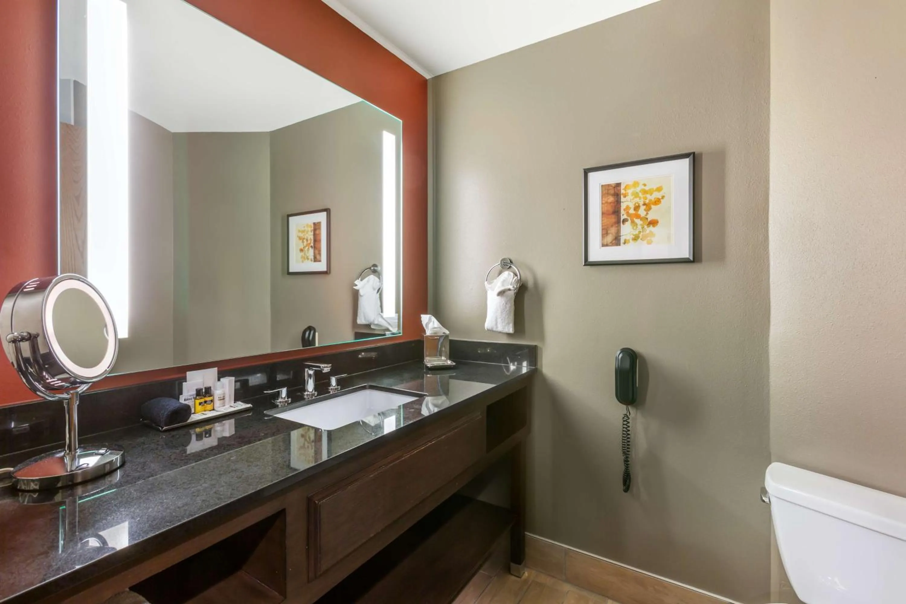 Bathroom in Best Western Premier Ivy Inn & Suites