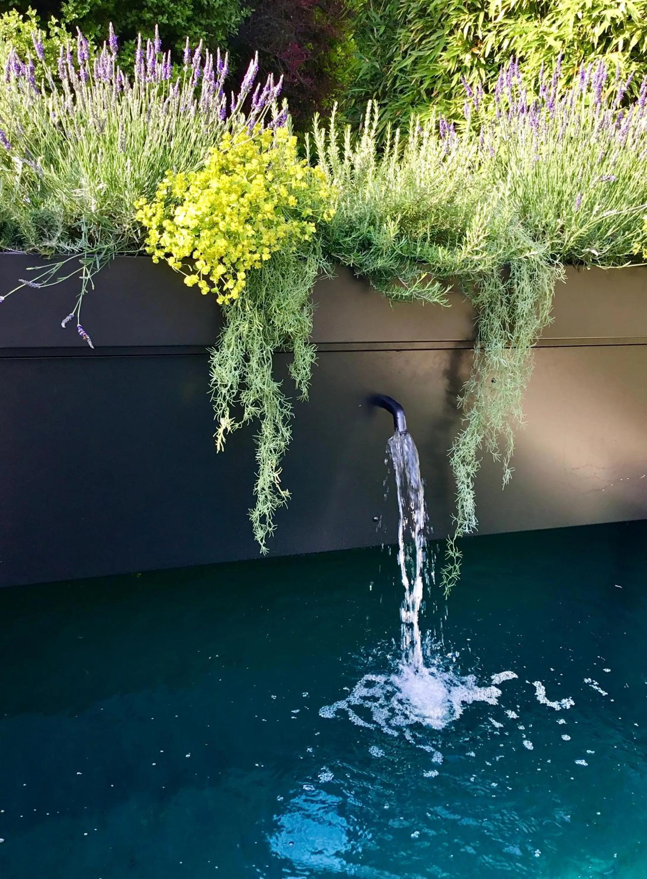 Swimming pool in Provence Km28