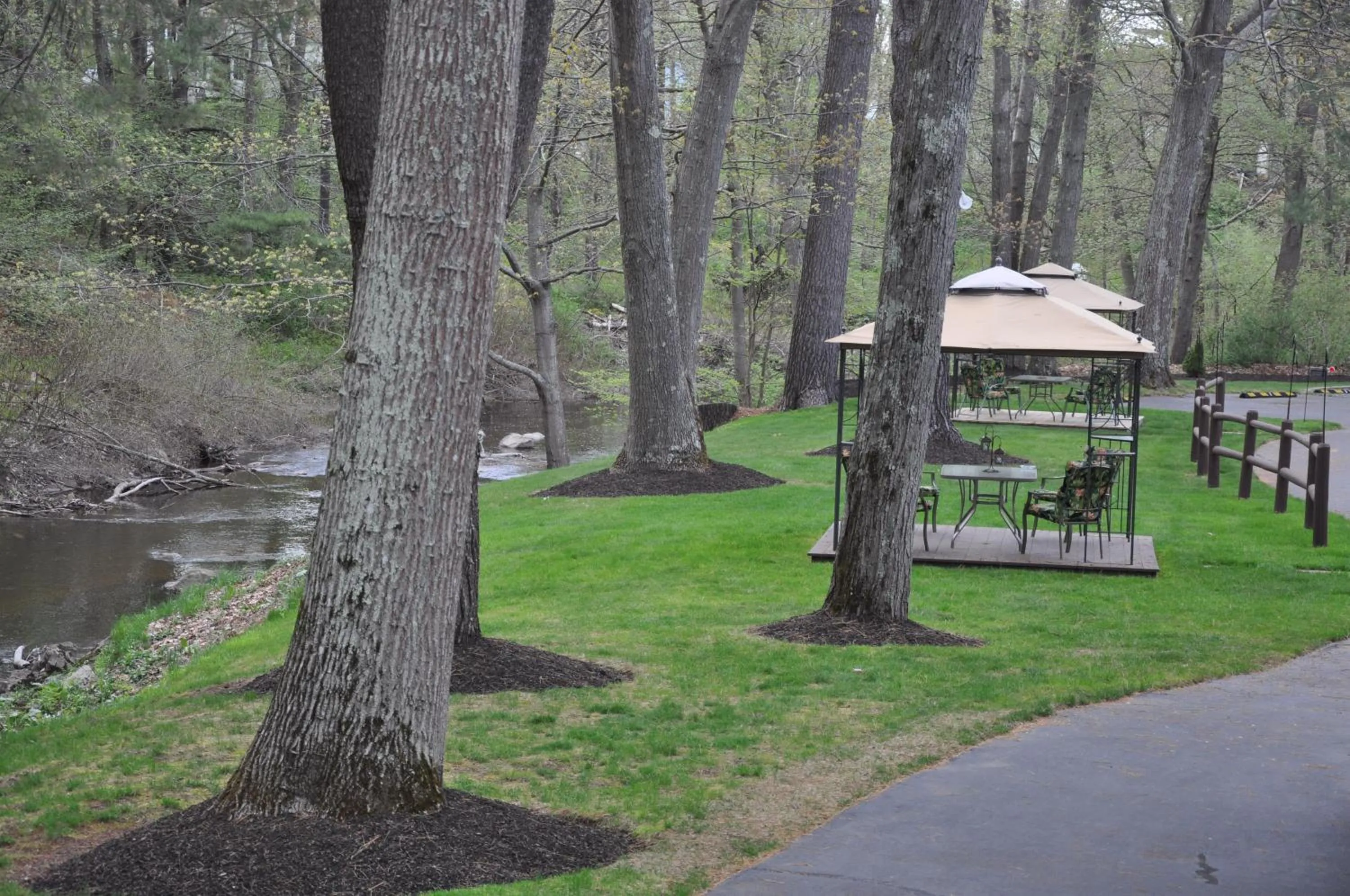 River view in Towne Lyne Motel