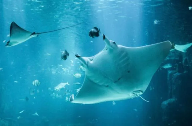 Hôtel Résidence du Golf