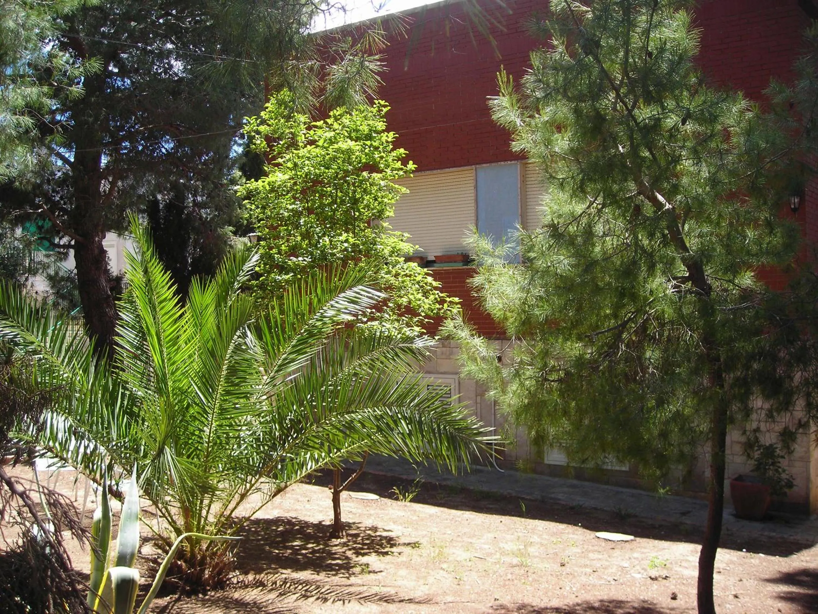 Garden in B&B San Salvador