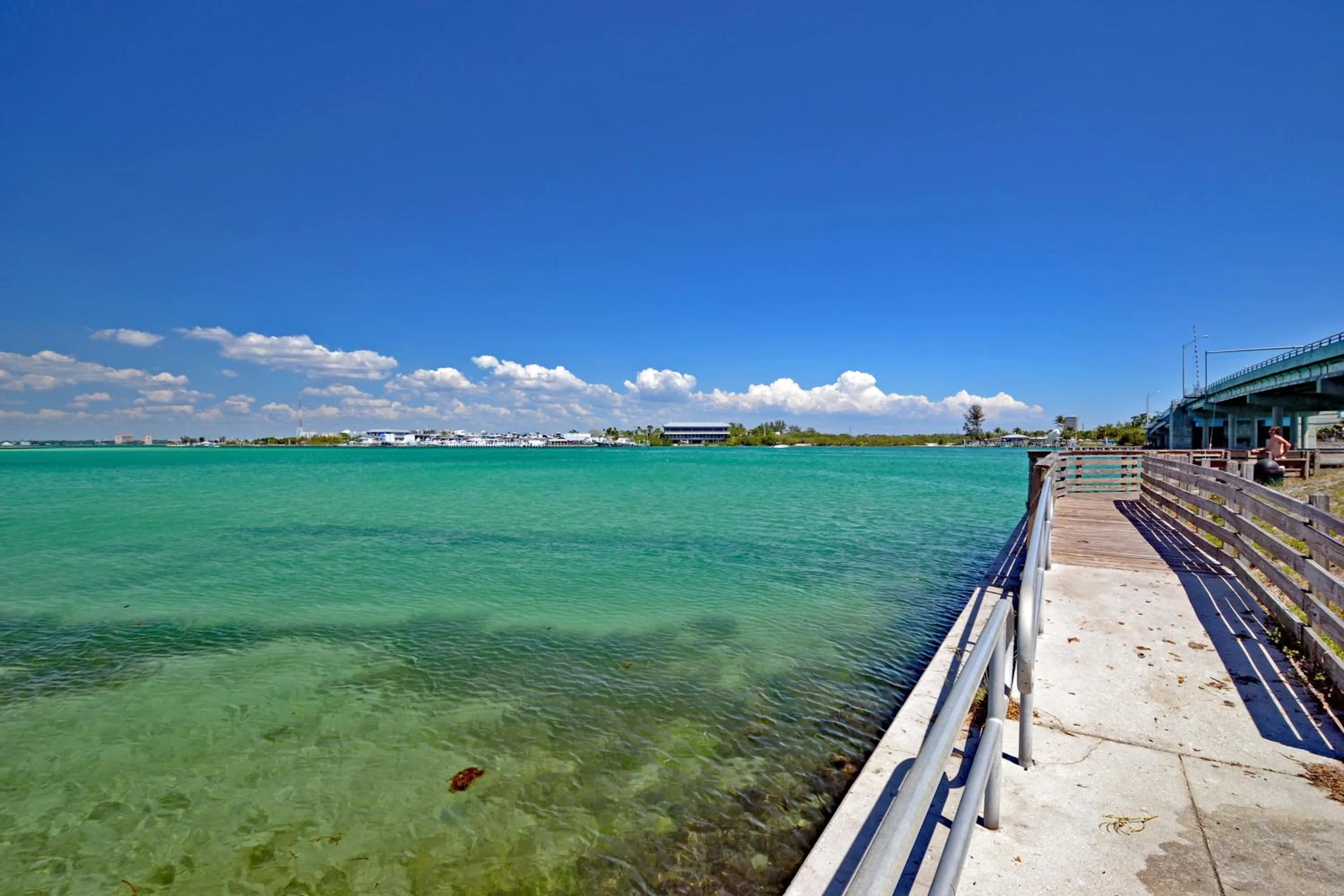 Siesta Key Beach - Tropea 665 #3