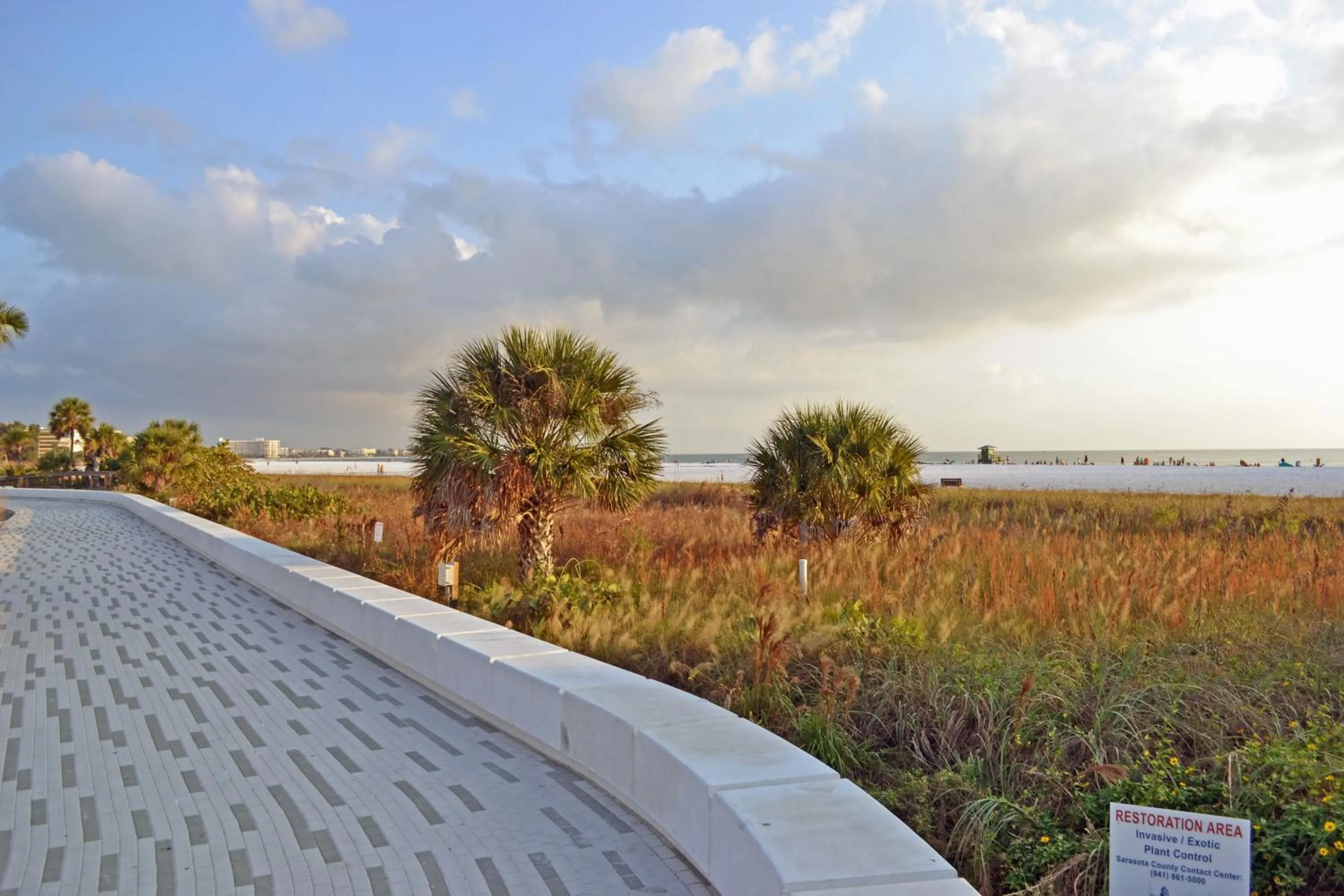 Siesta Key Beach - Tropea 665 #3