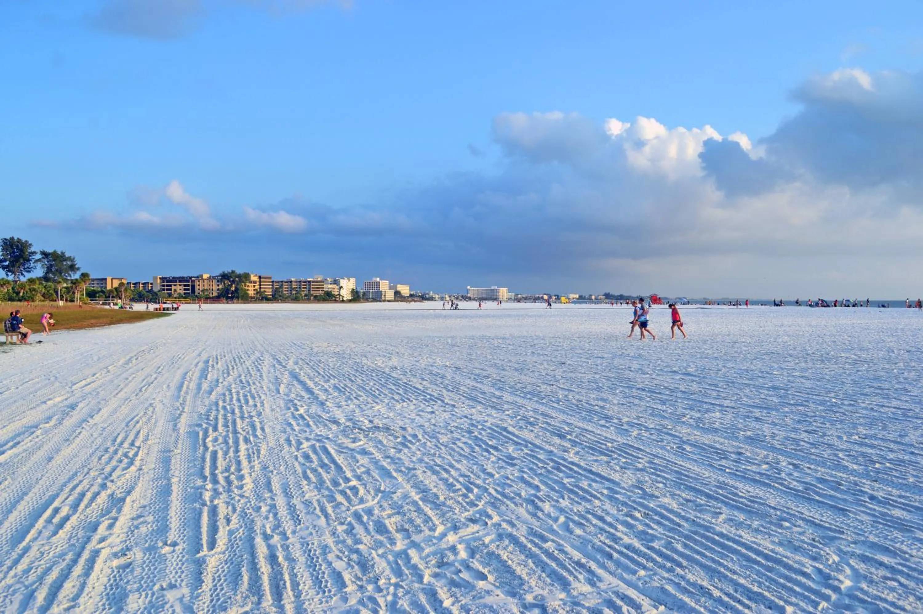 Siesta Key Beach - Tropea 665 #3