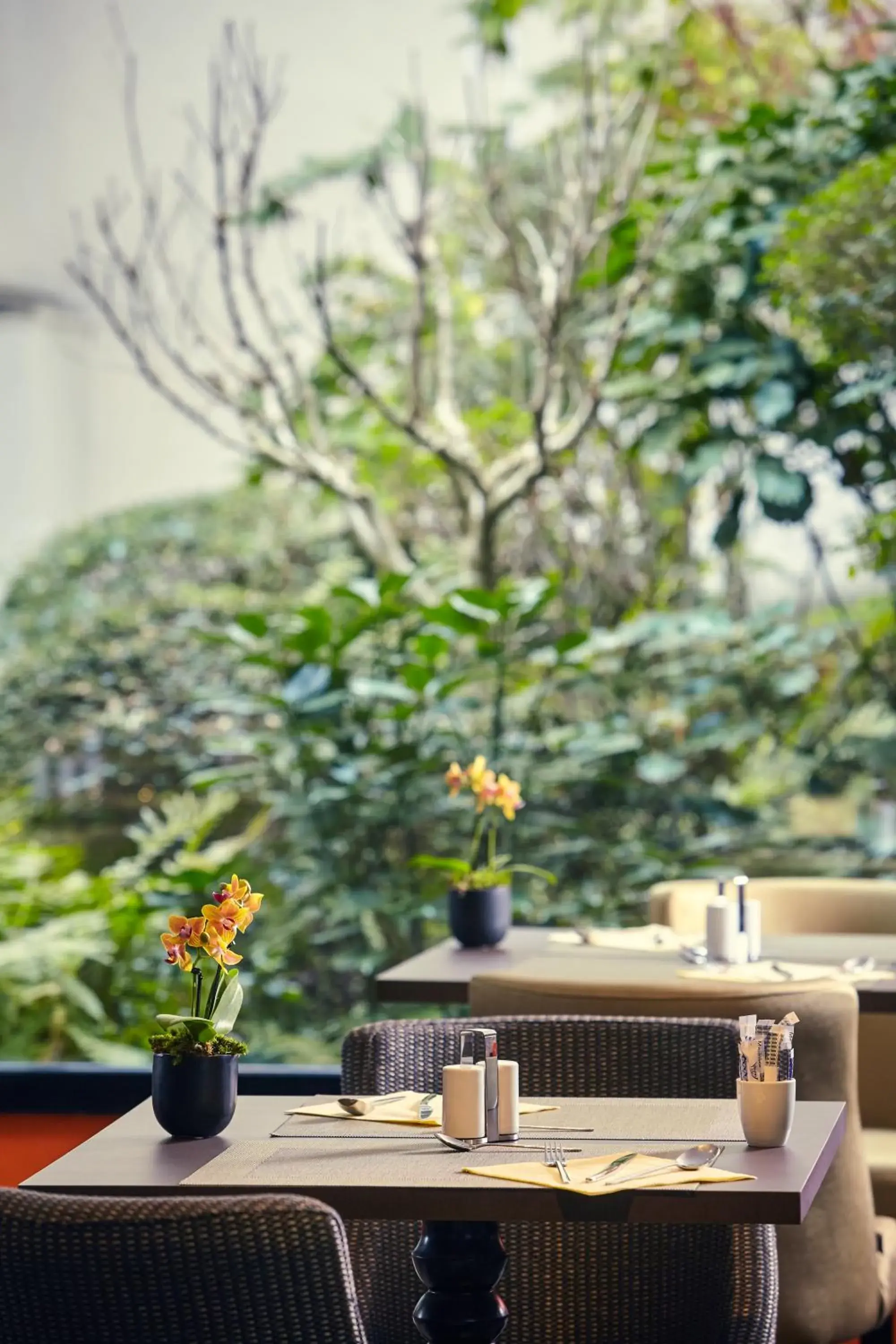 Restaurant/places to eat in Mercure Tour Eiffel Grenelle Restaurant/places to eat in Mercure Tour Eiffel Grenelle