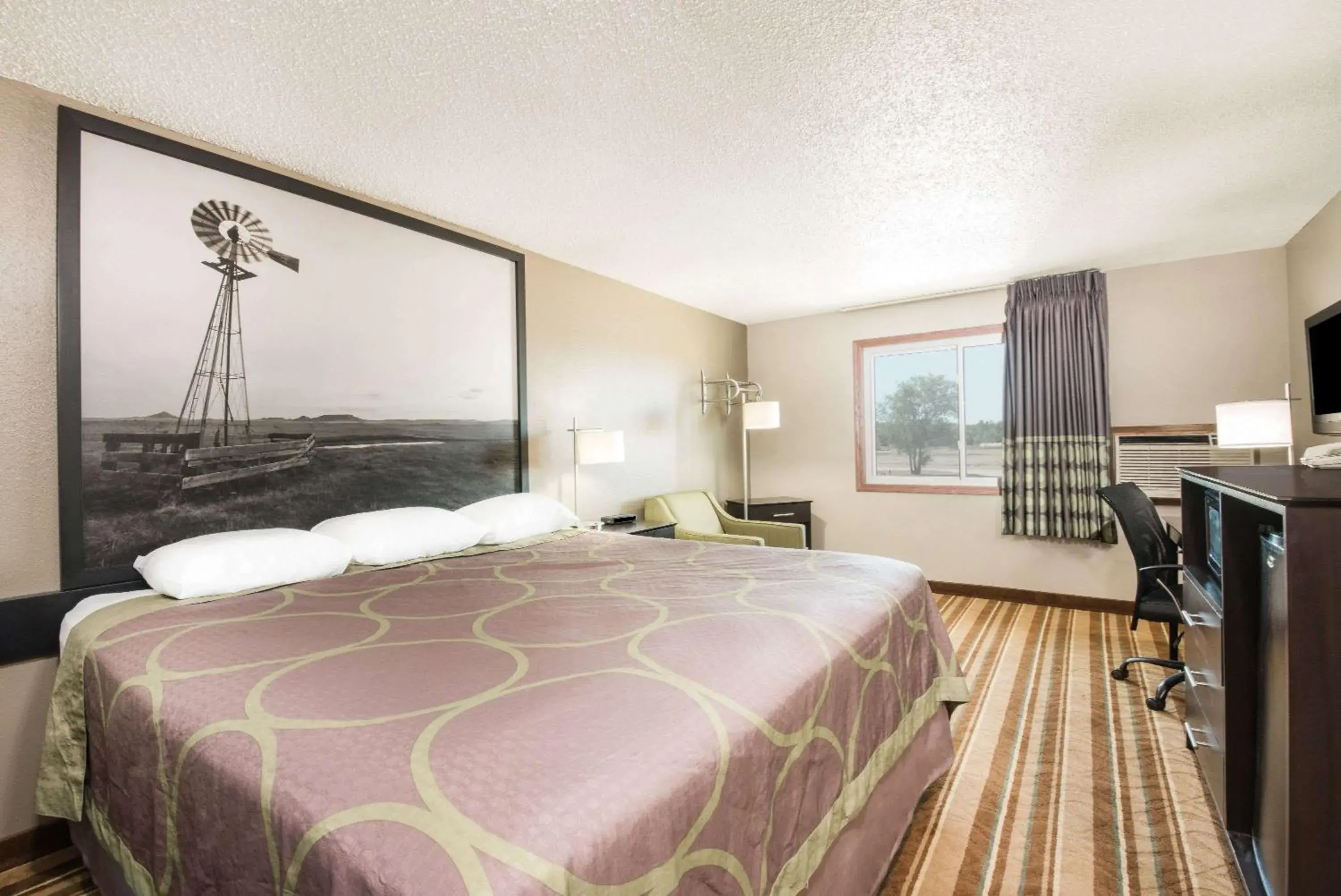 Photo of the whole room, Bed in Super 8 by Wyndham Miller Photo of the whole room, Bed in Super 8 by Wyndham Miller