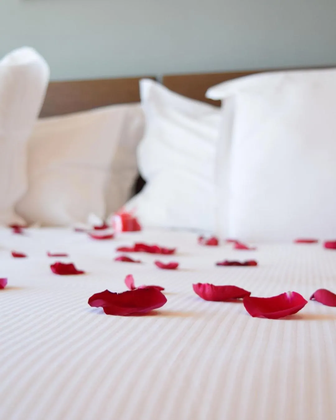 Bed in Avignon Grand Hotel