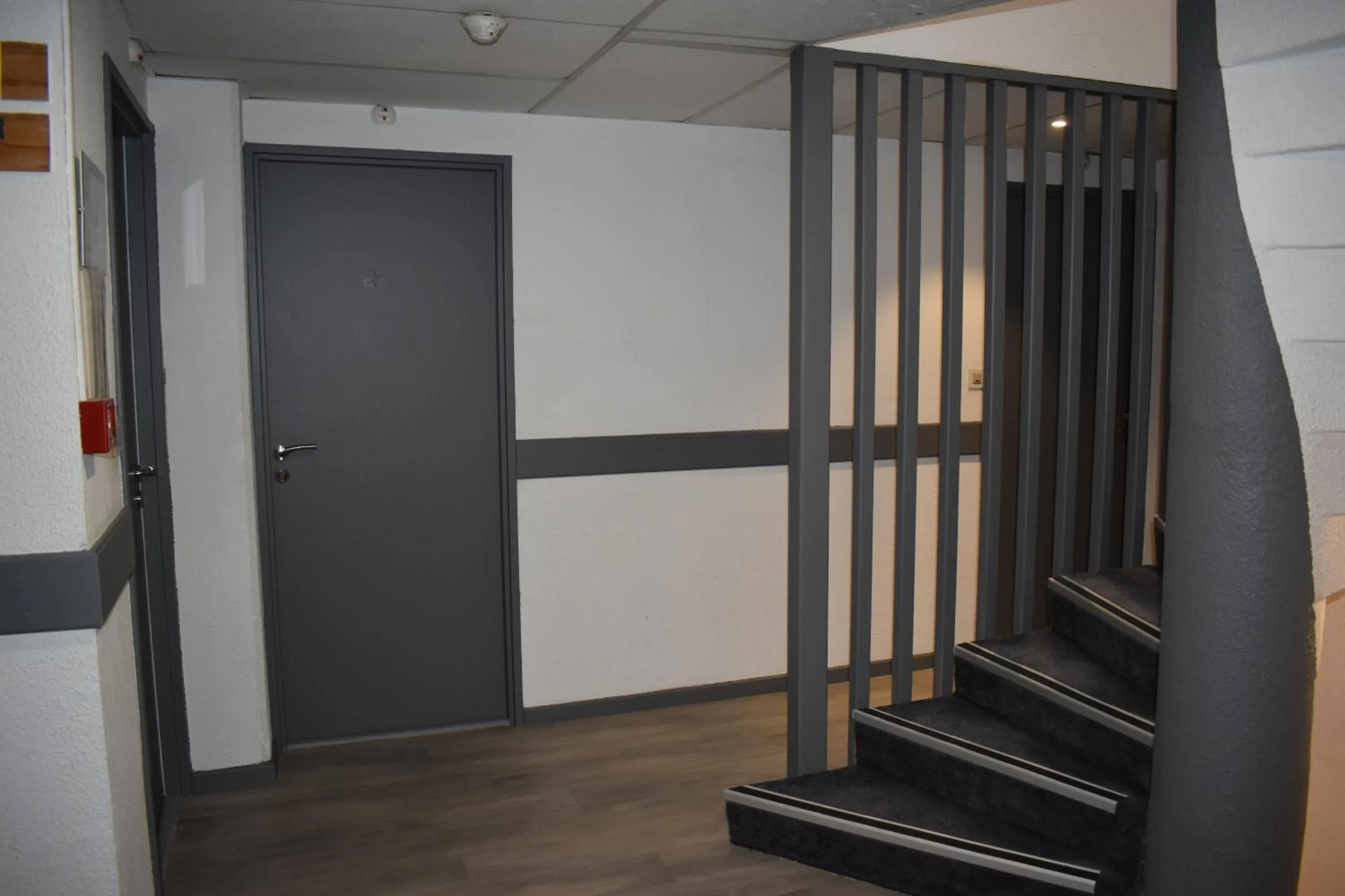 Area and facilities in Cat'Hotel