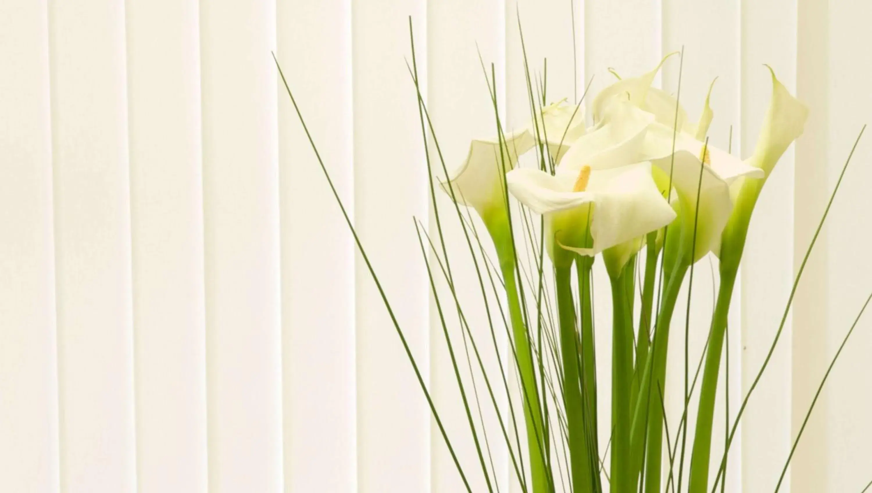 Lobby or reception in Golden Wheat Budget Host Inn Junction City Lobby or reception in Golden Wheat Budget Host Inn Junction City