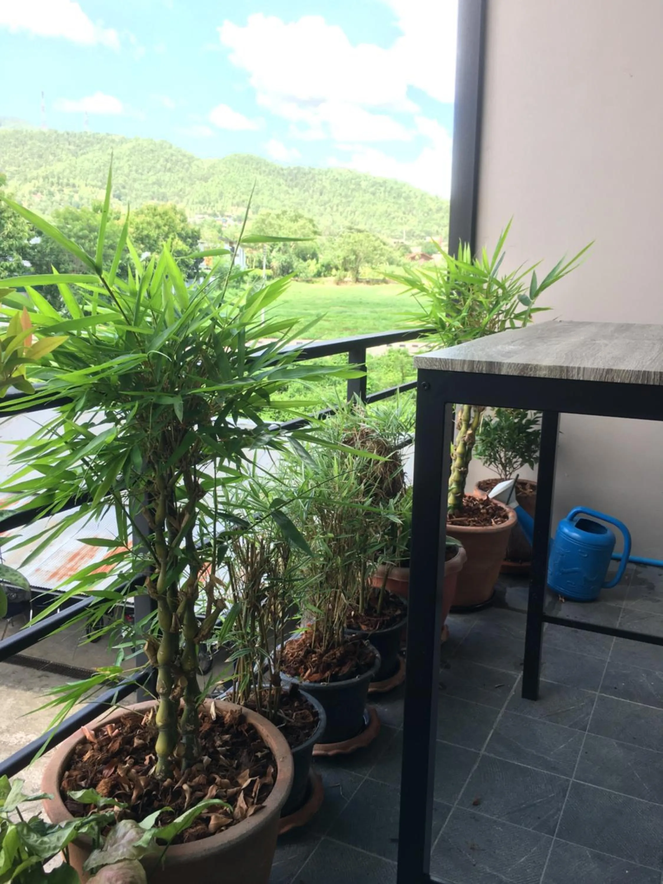 Mae-Sa-Riang Home