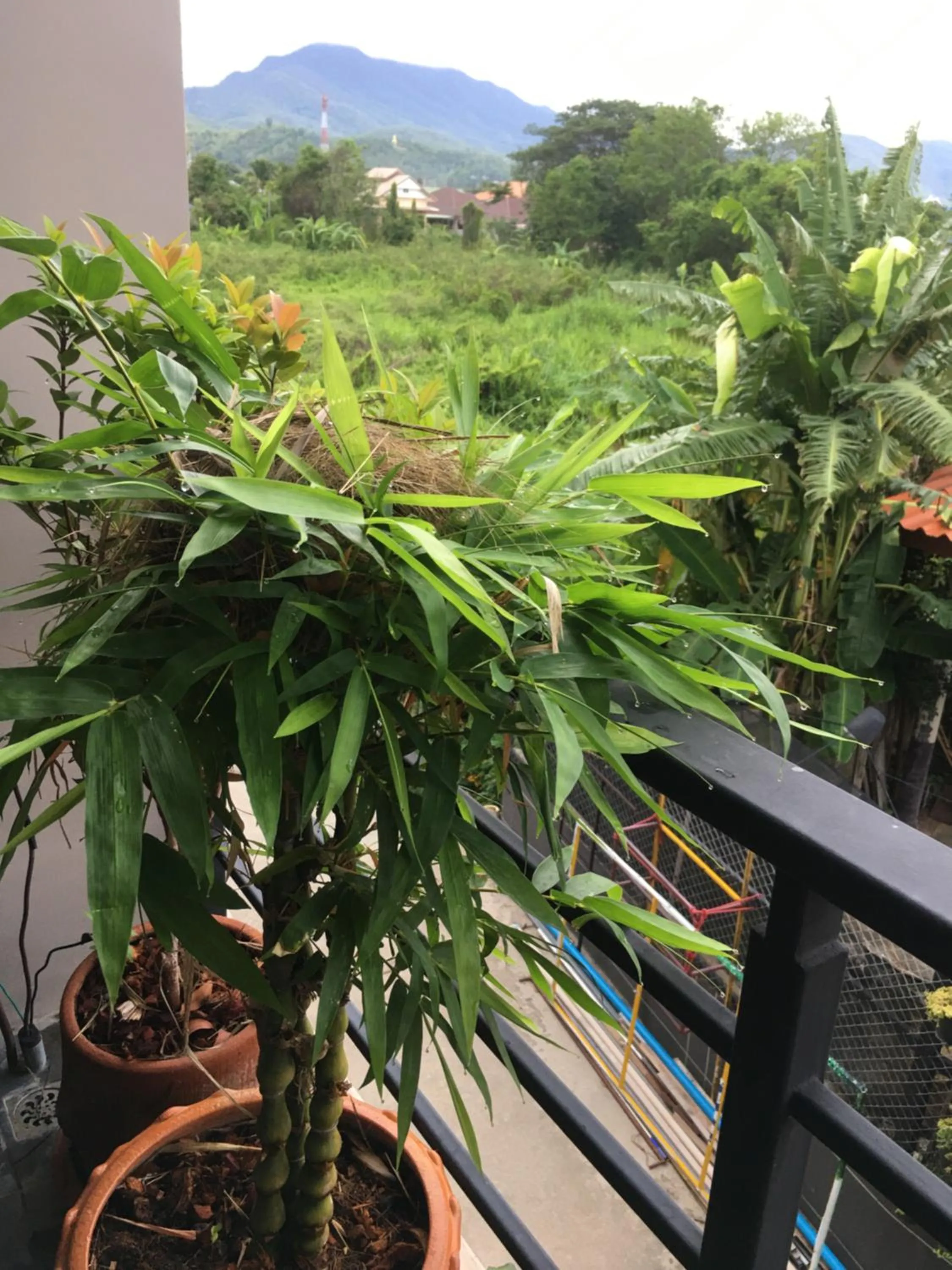 Mae-Sa-Riang Home