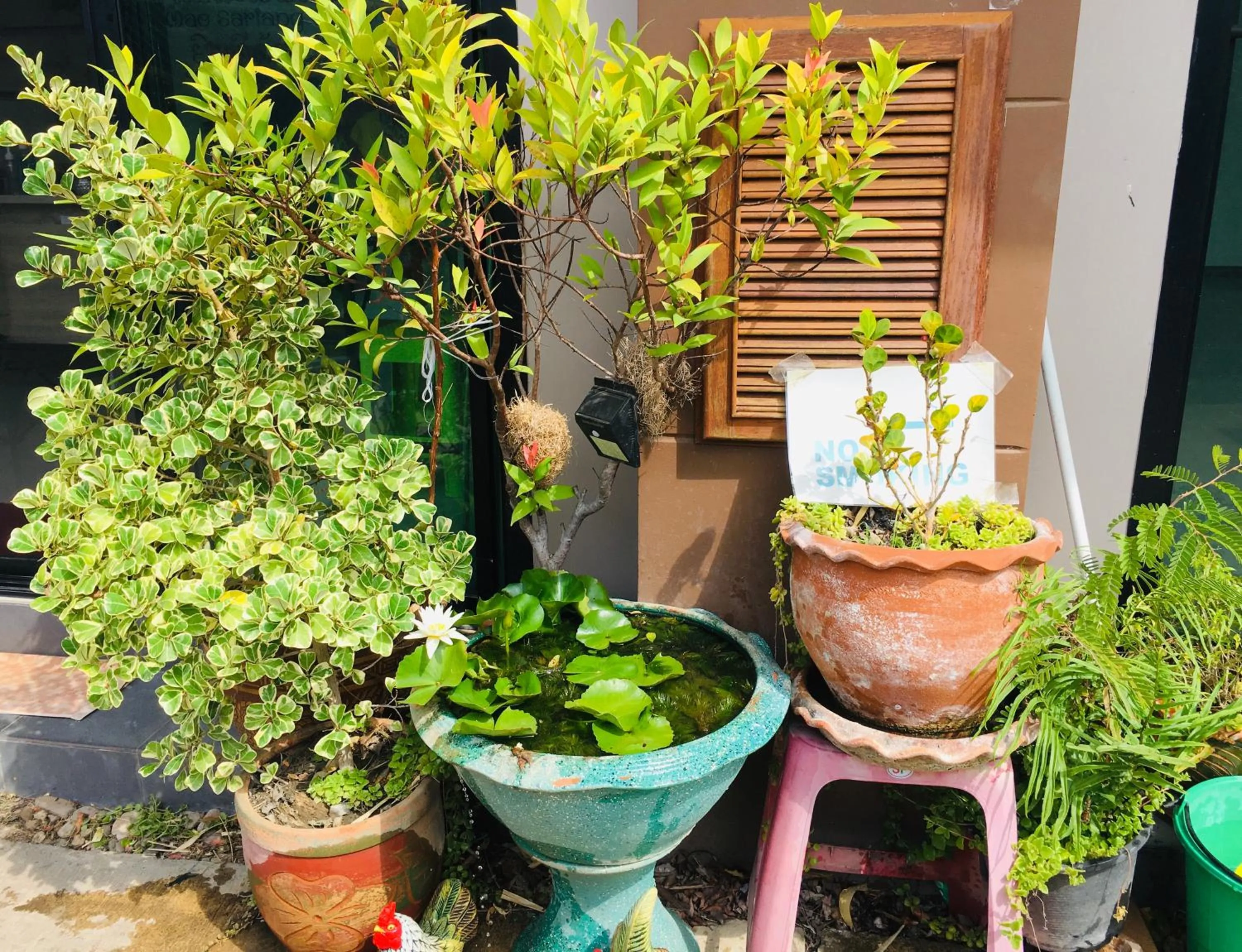 Mae-Sa-Riang Home