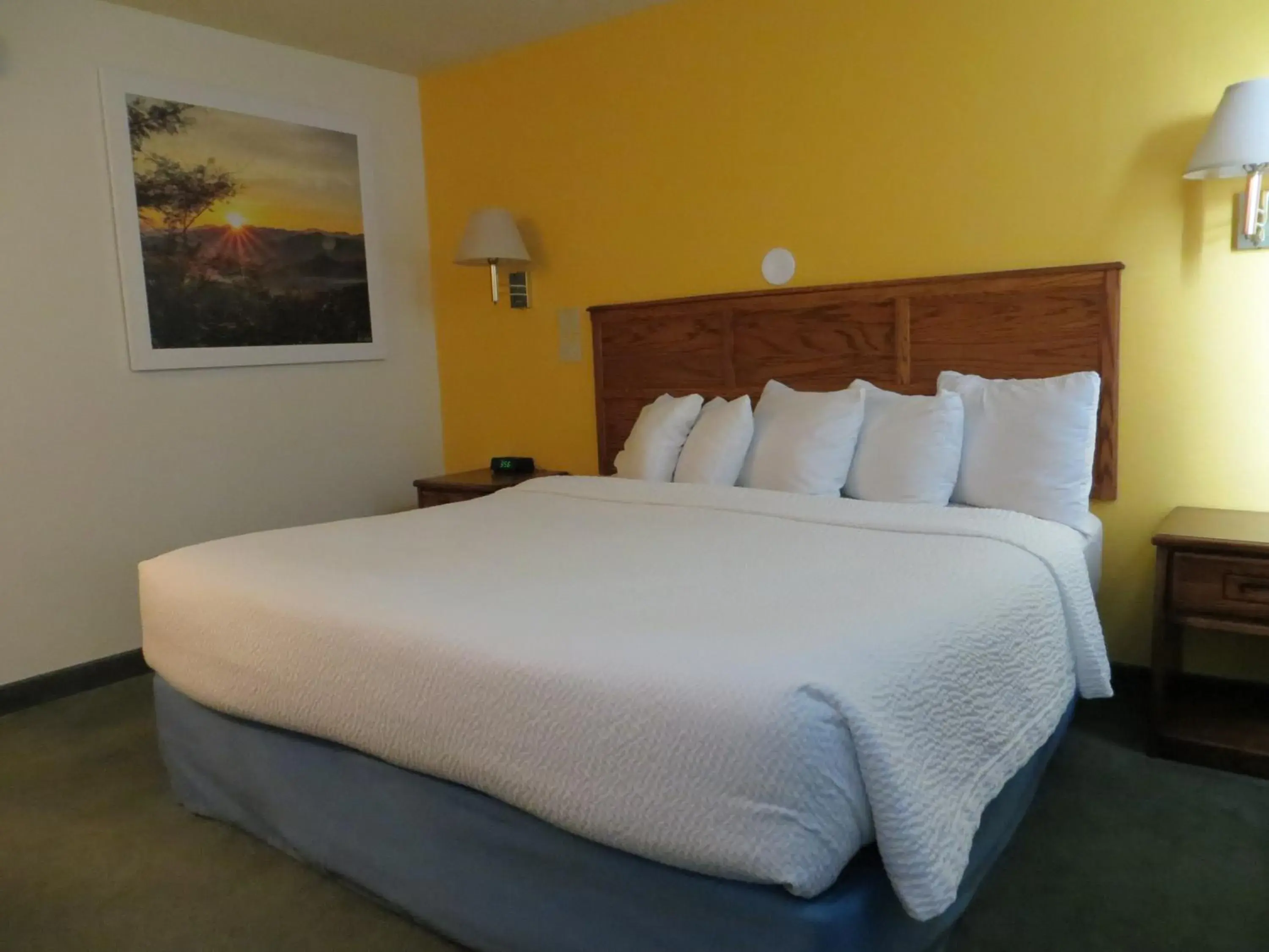 1 King Bed, Mobility/Hearing Accessible Room, Roll-In Shower in Days Inn by Wyndham Alamosa 1 King Bed, Mobility/Hearing Accessible Room, Roll-In Shower in Days Inn by Wyndham Alamosa