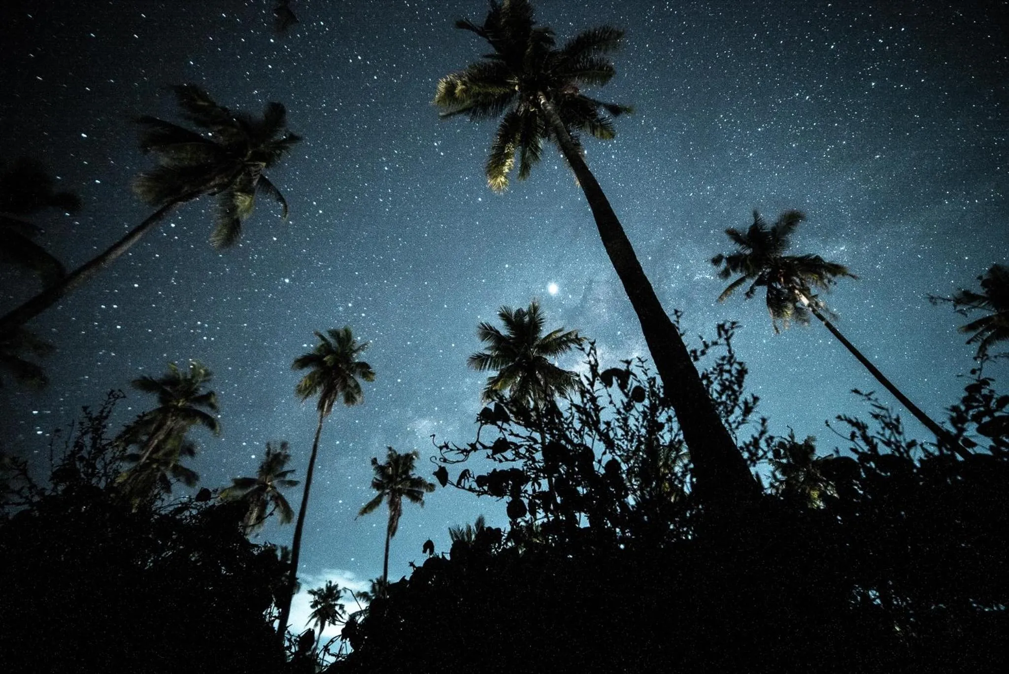 Musa Villas and Bungalows Gili Air