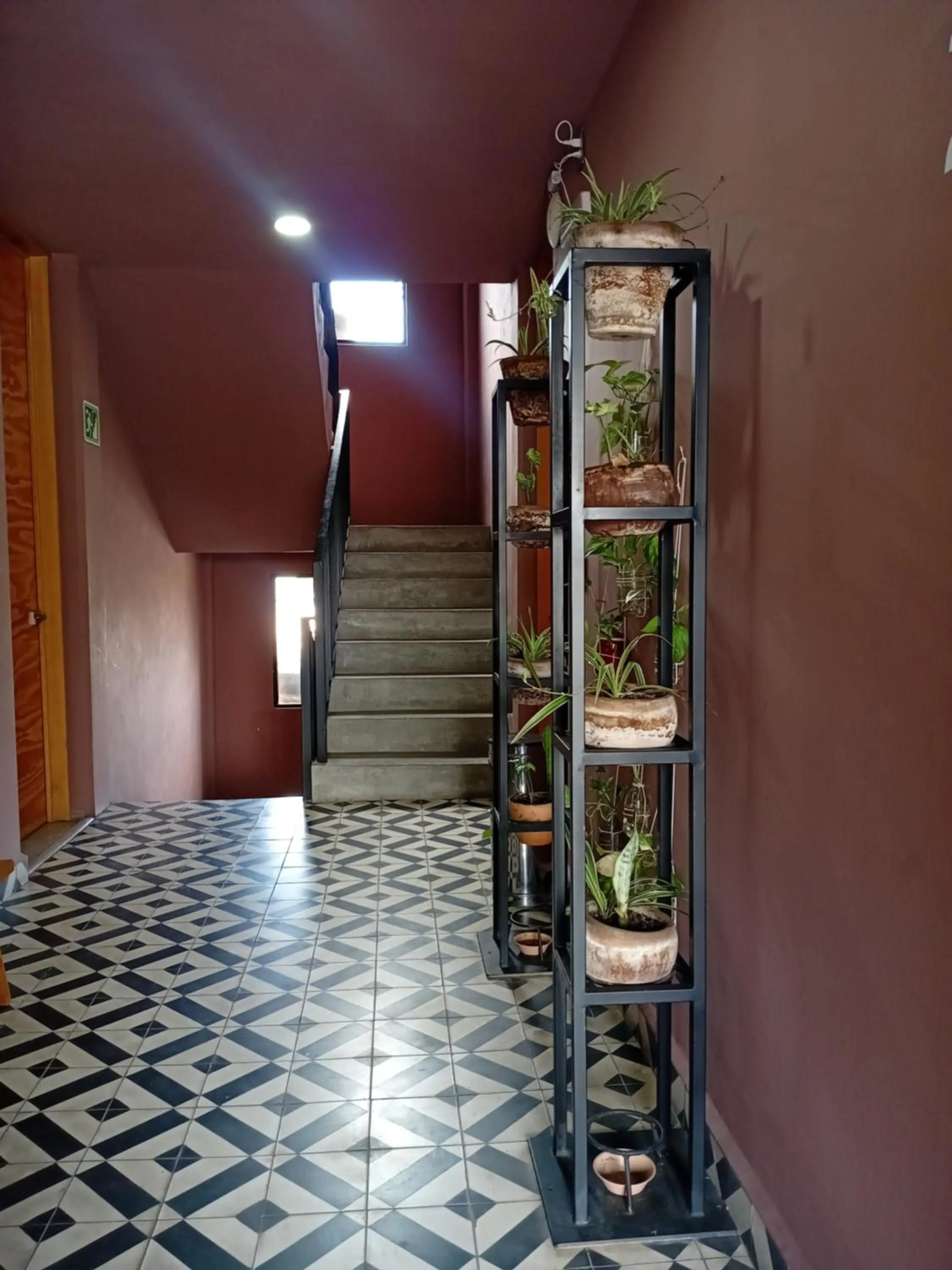 Decorative detail in Hotel Momotus Tuxtla - Desayuno opcional