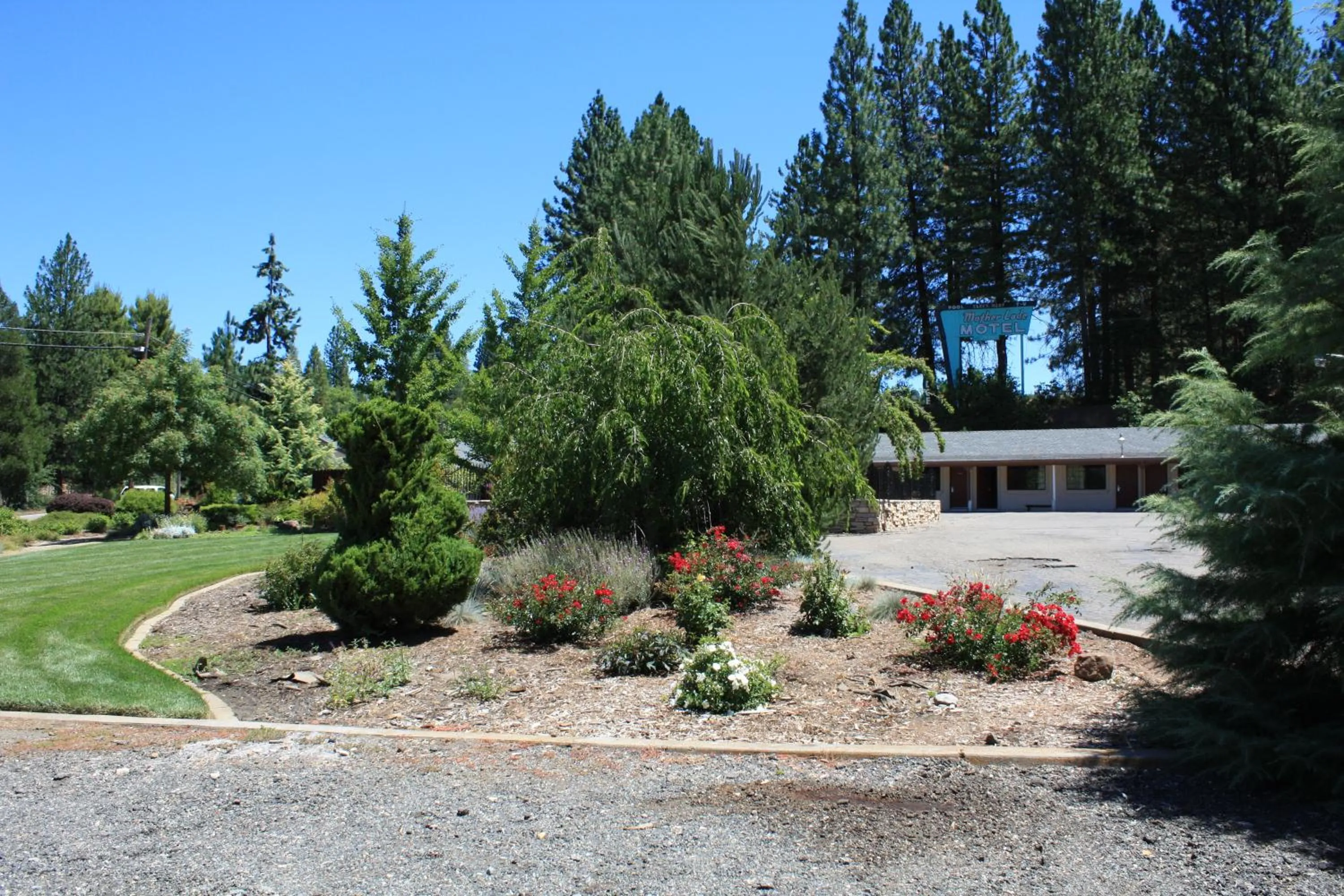 Property building in Mother Lode Motel
