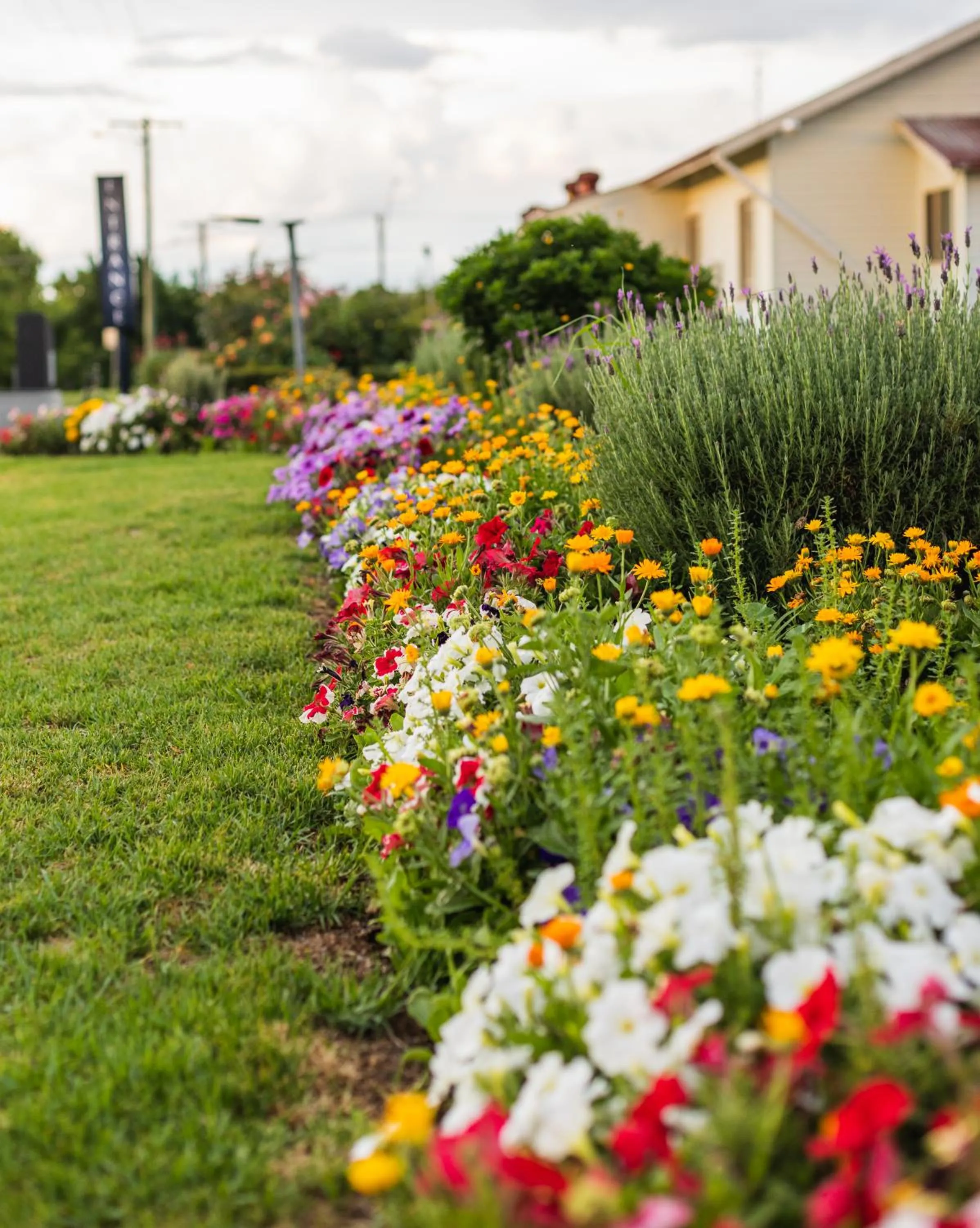Garden in Golfers Inn