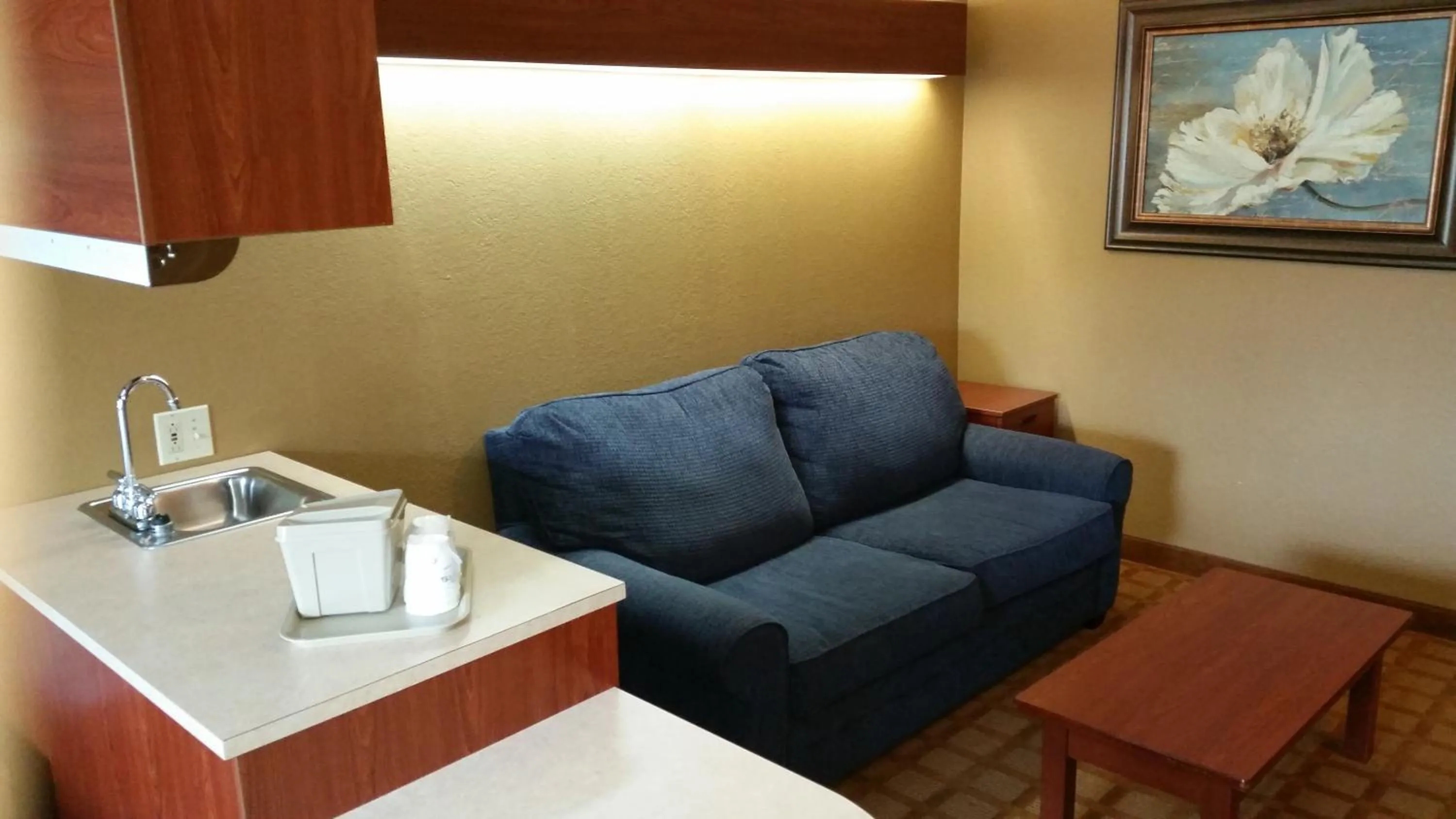 Bedroom, Seating Area in Microtel Inn & Suites by Wyndham Starkville