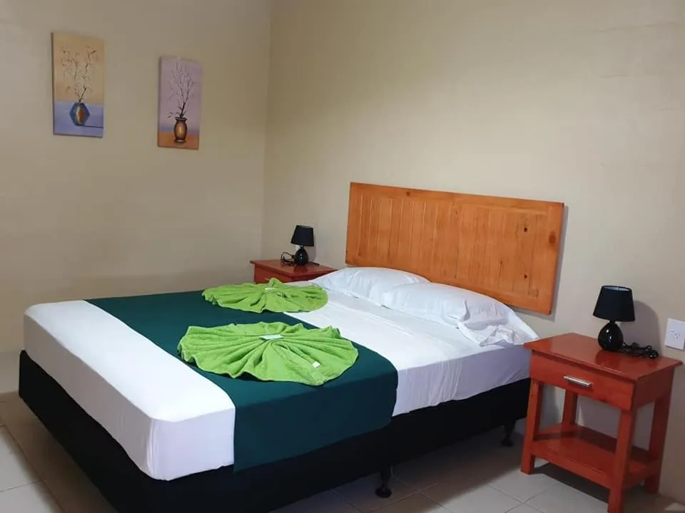 Bed in Transit Motel