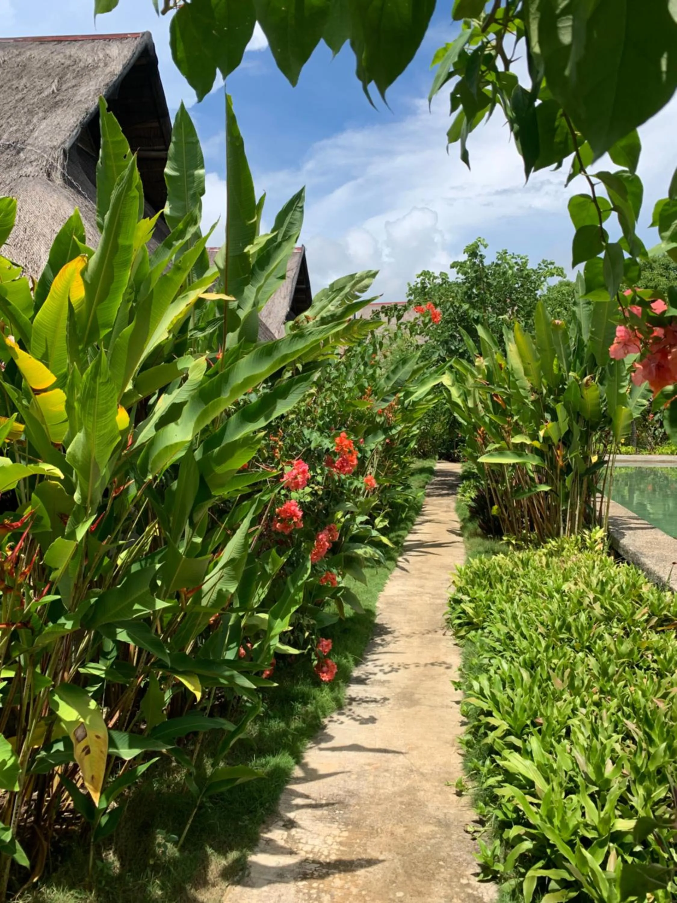 Three Little Birds Resort