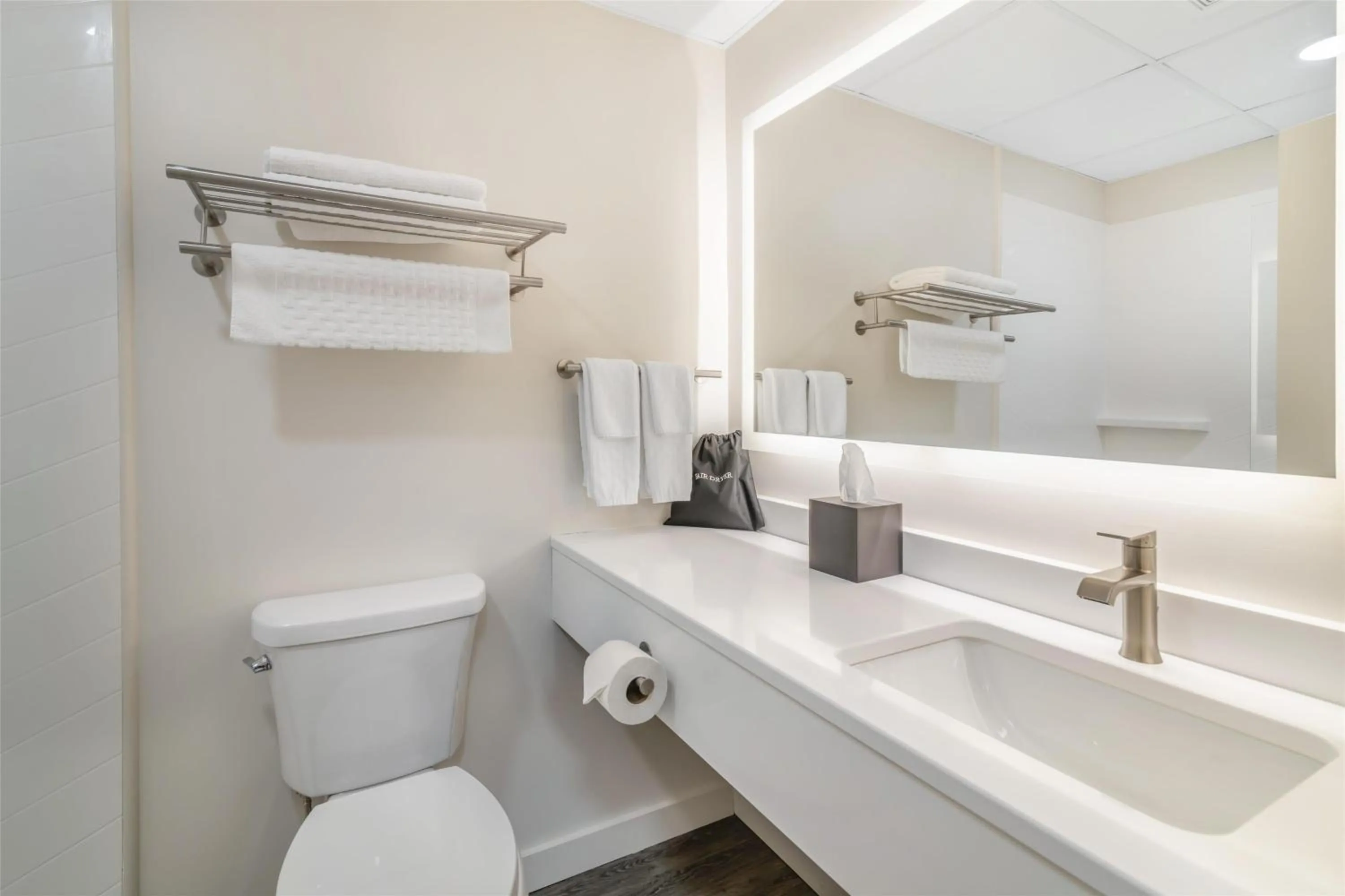 Bathroom in Best Western Caribou Inn