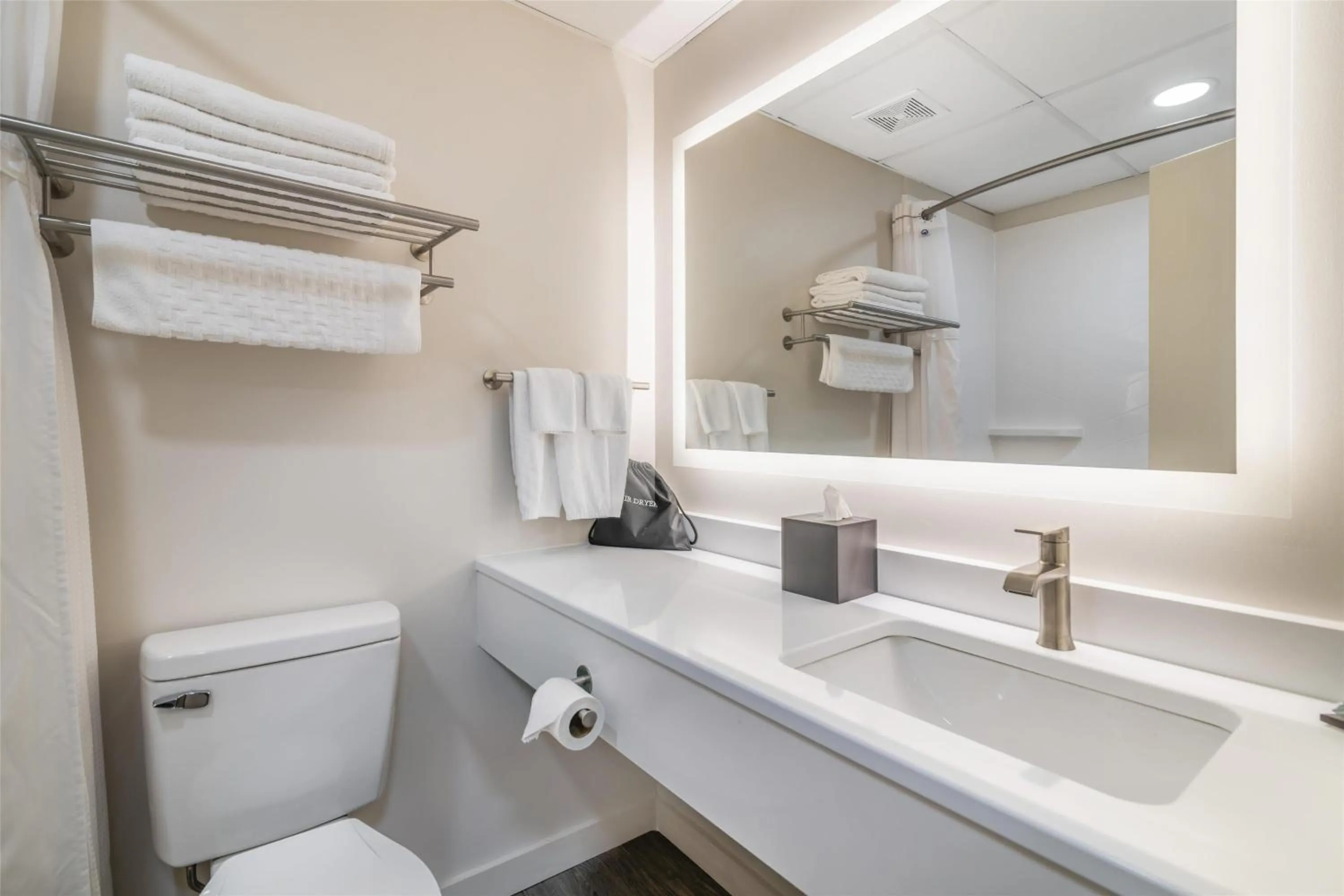 Bathroom in Best Western Caribou Inn