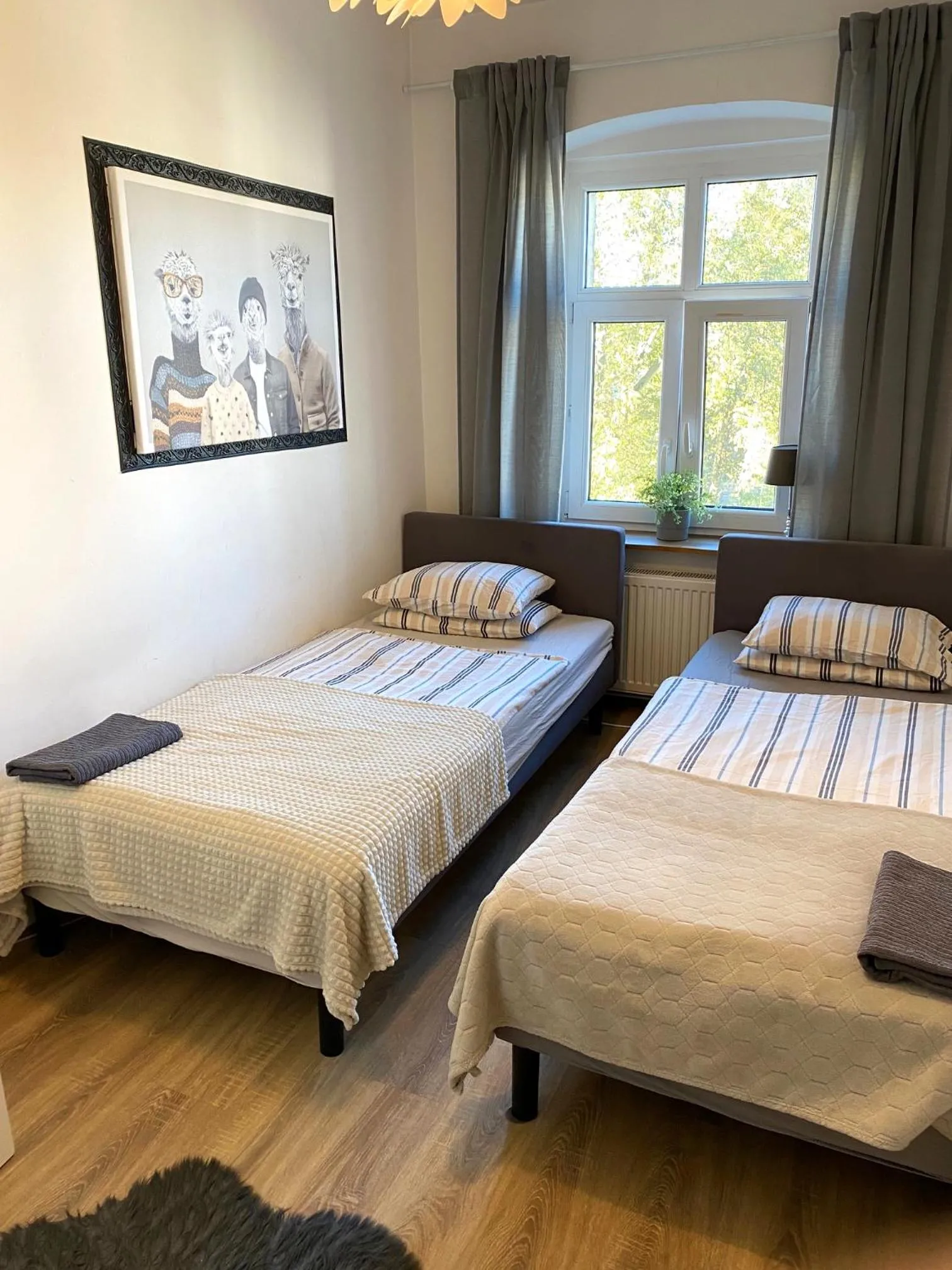 Bed in Lemuria Hostel Szkolna centrum