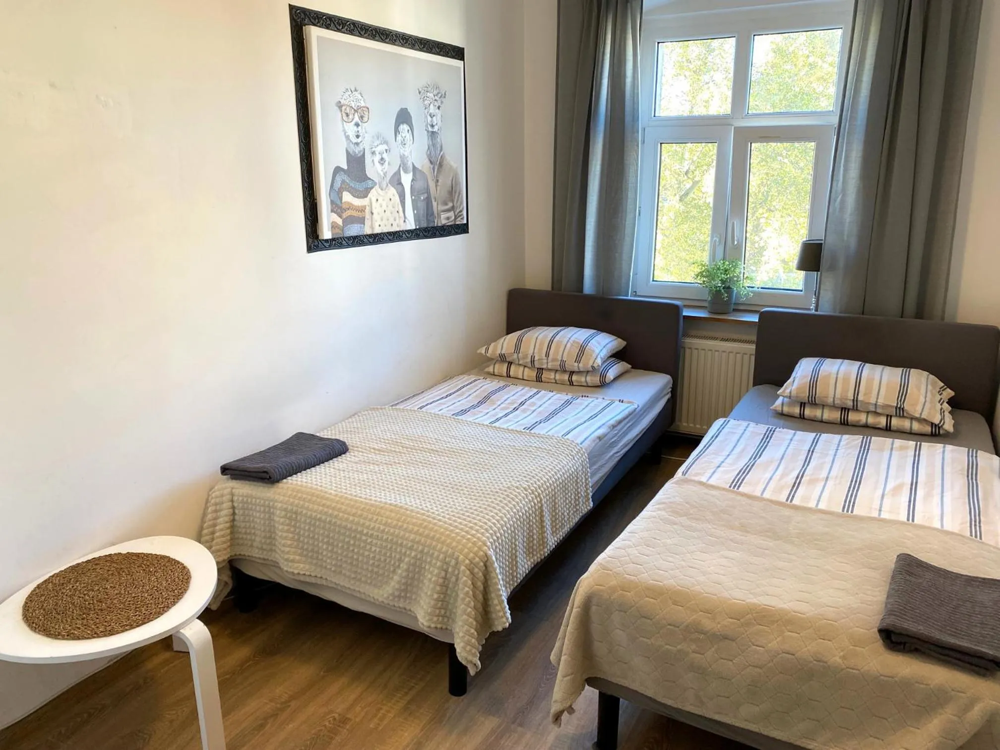 Bed in Lemuria Hostel Szkolna centrum