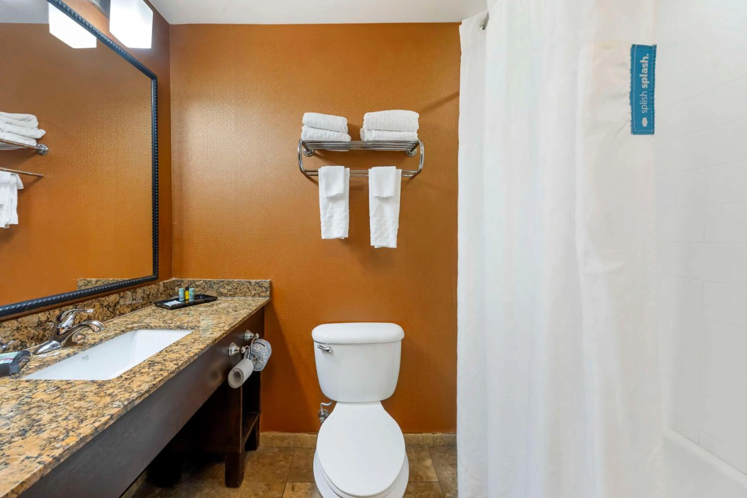Bathroom in Best Western Plus Tupelo Inn & Suites