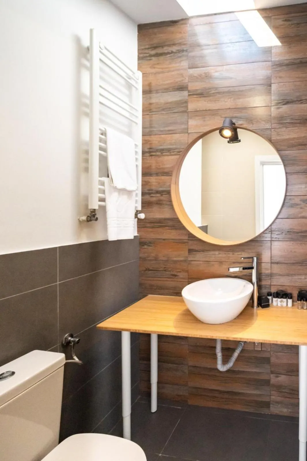 Toilet in Lascar Catargiu Villa