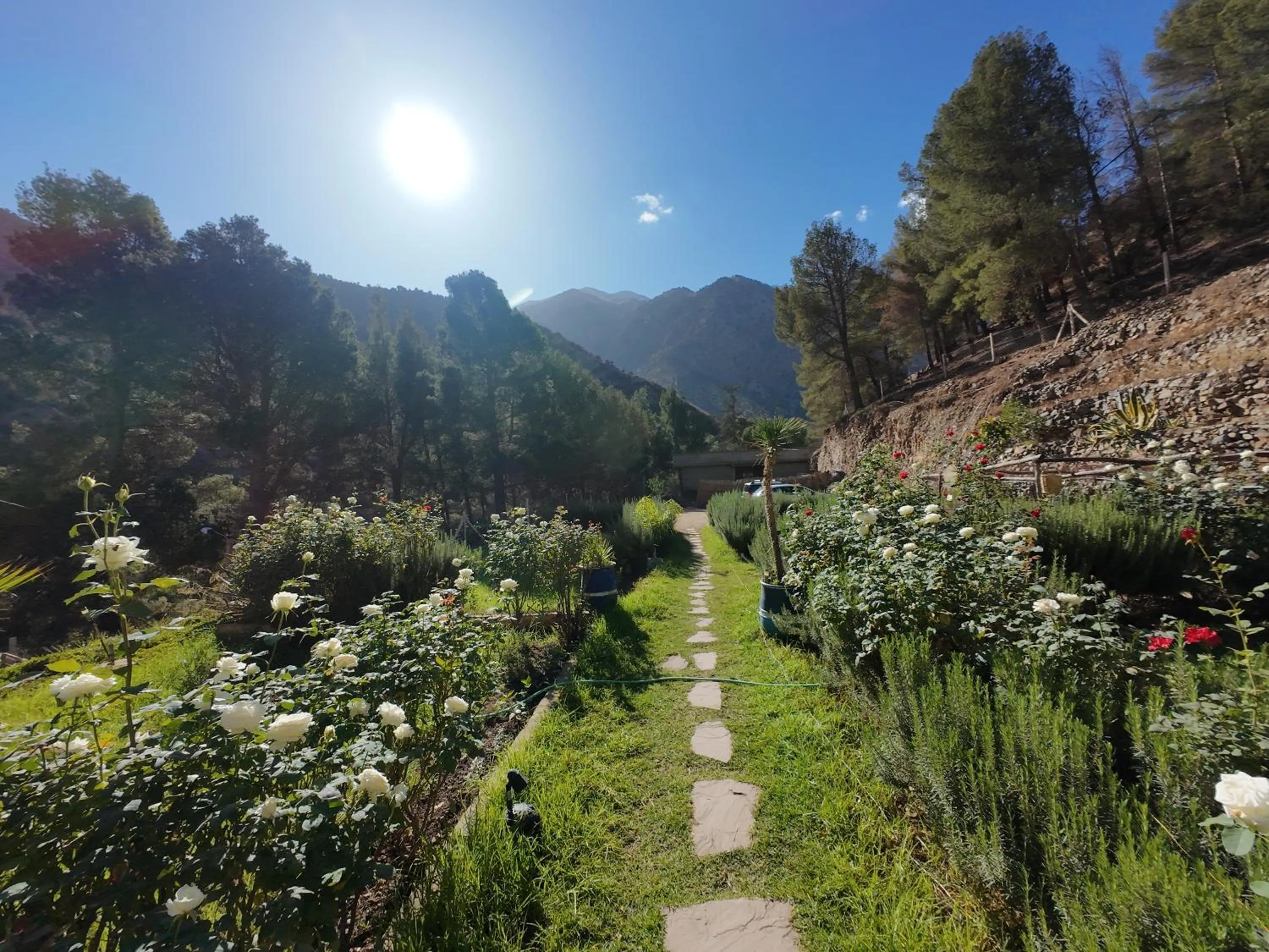 Garden view in Atlas Tigmi
