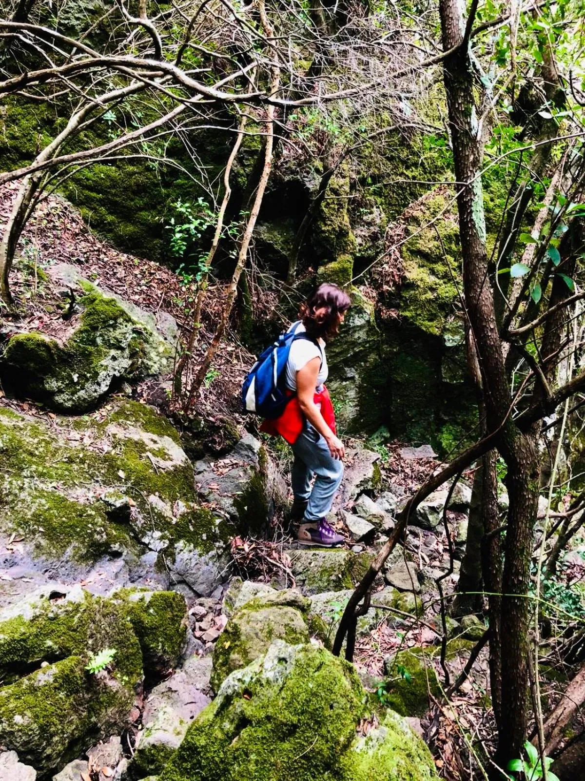 La Vecchia Posta B&B