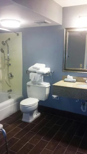 Toilet in Wingfield Inn