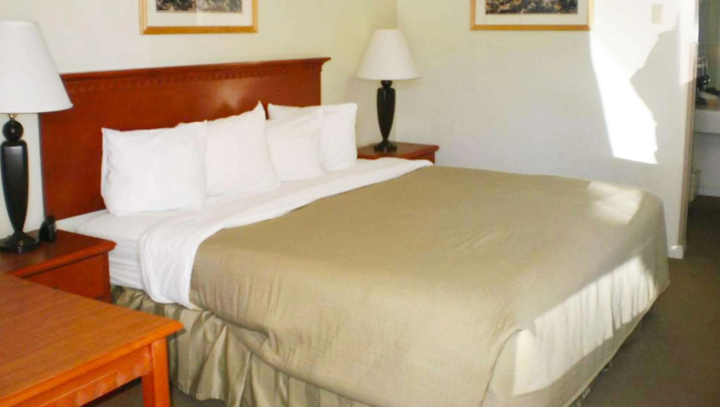 Photo of the whole room in Magnuson Hotel Park Vue