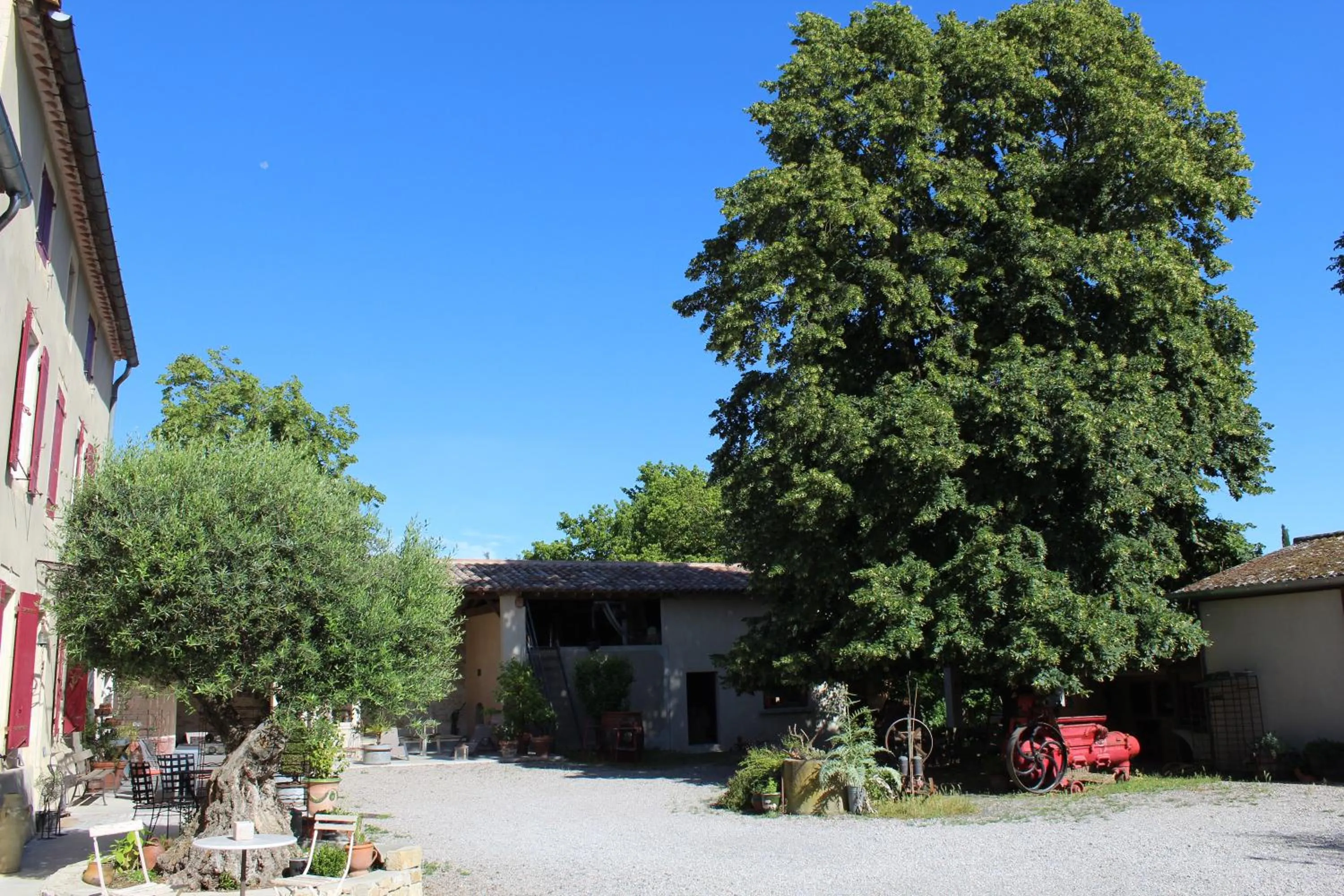 Garden view in L'Albane Chambres d'hôtes