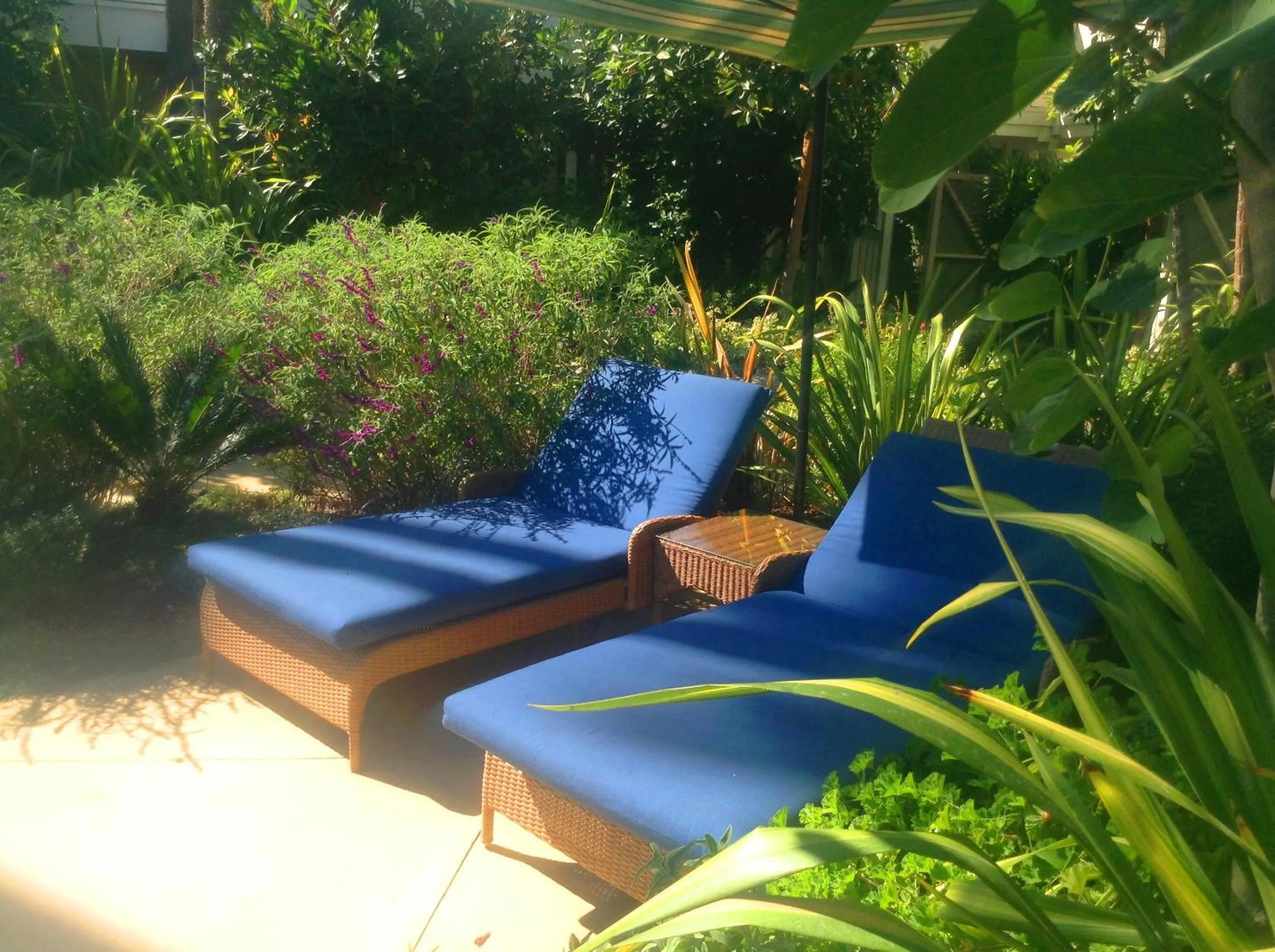 Balcony/Terrace in Pavilion Hotel